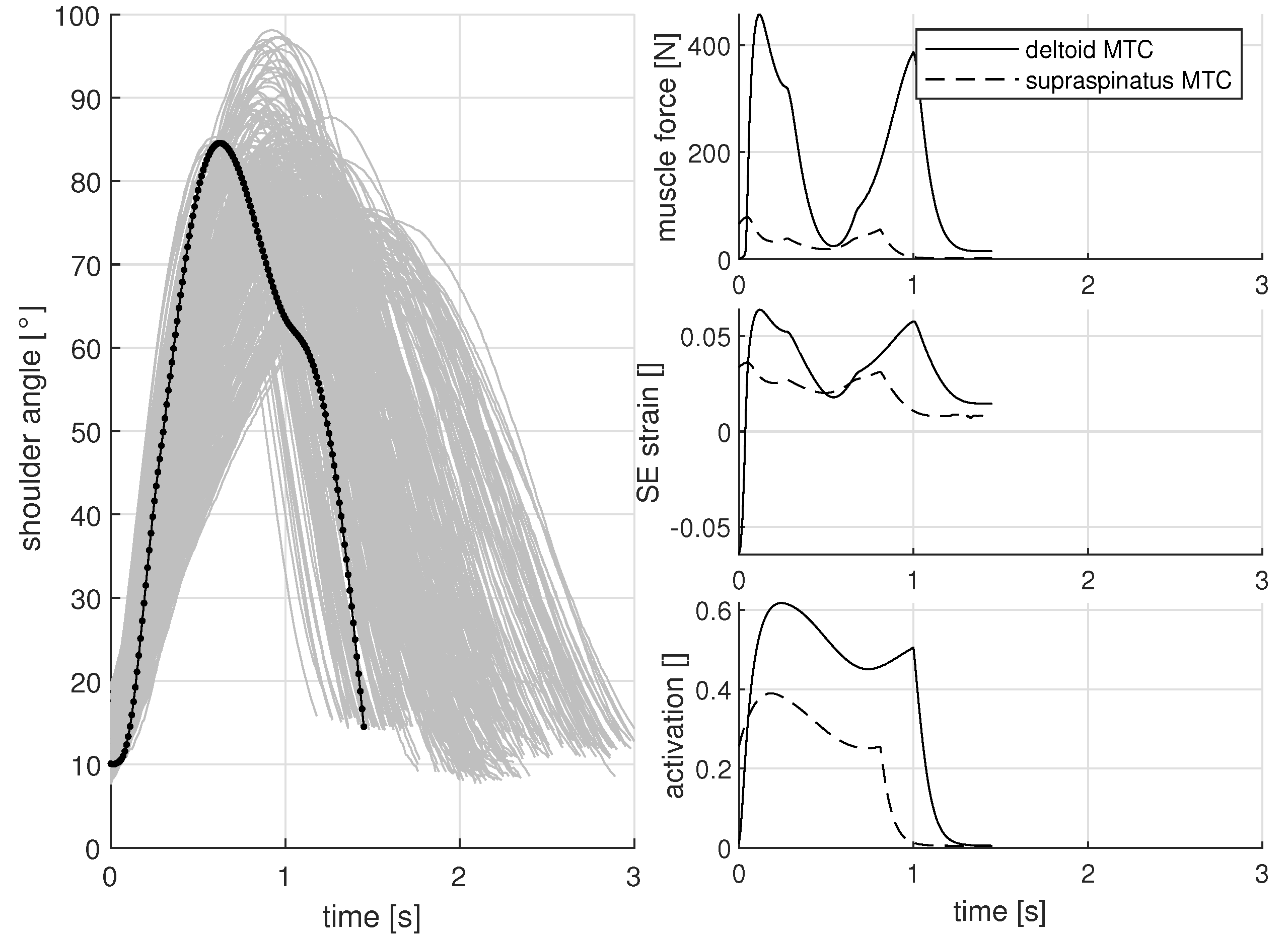 Muscles 01 00005 g003