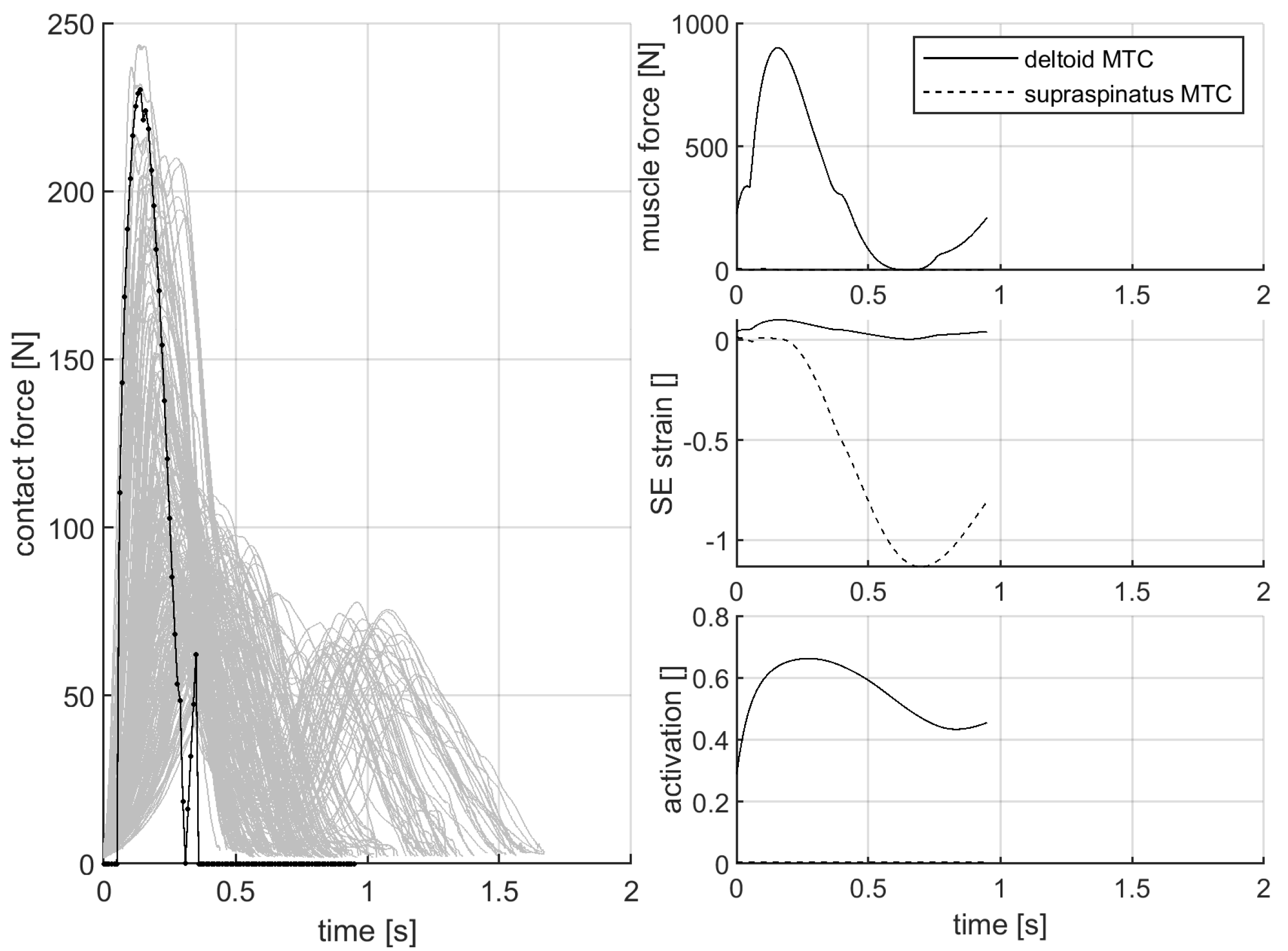 Muscles 01 00005 g005
