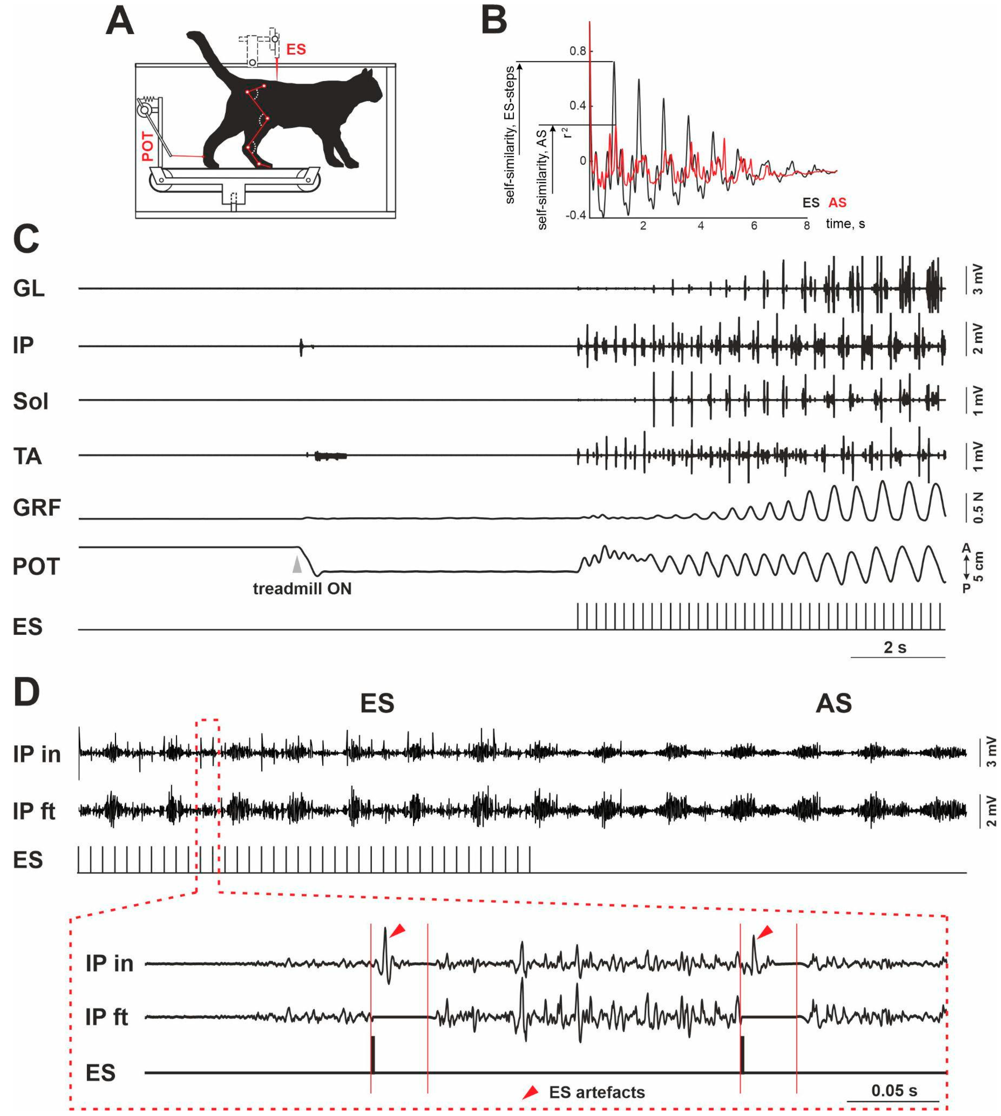 Muscles 01 00011 g001