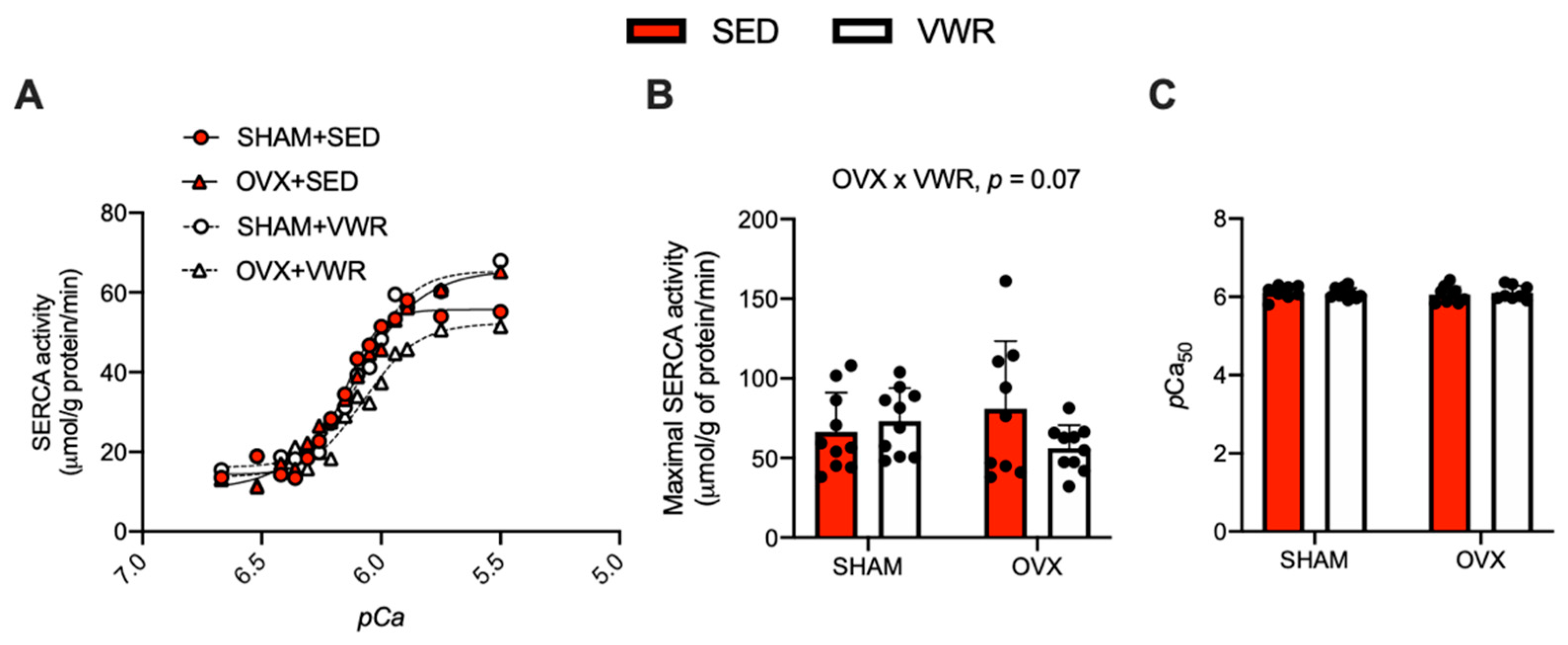 Muscles 01 00016 g003