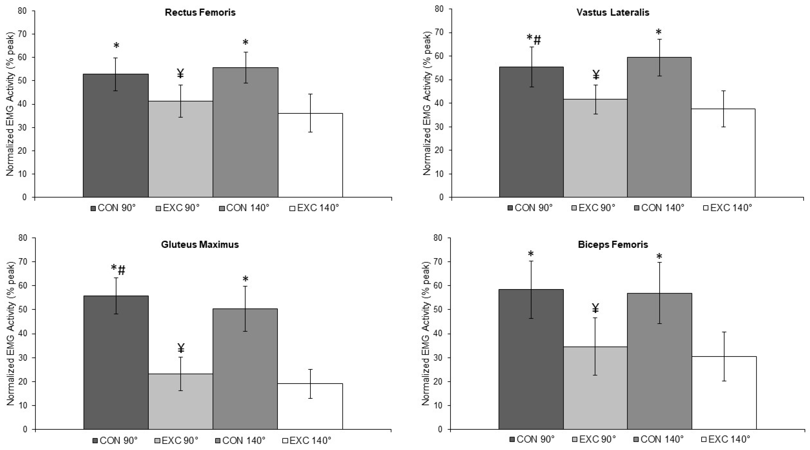 Muscles Free FullText Muscle Activation during the Squat Performed