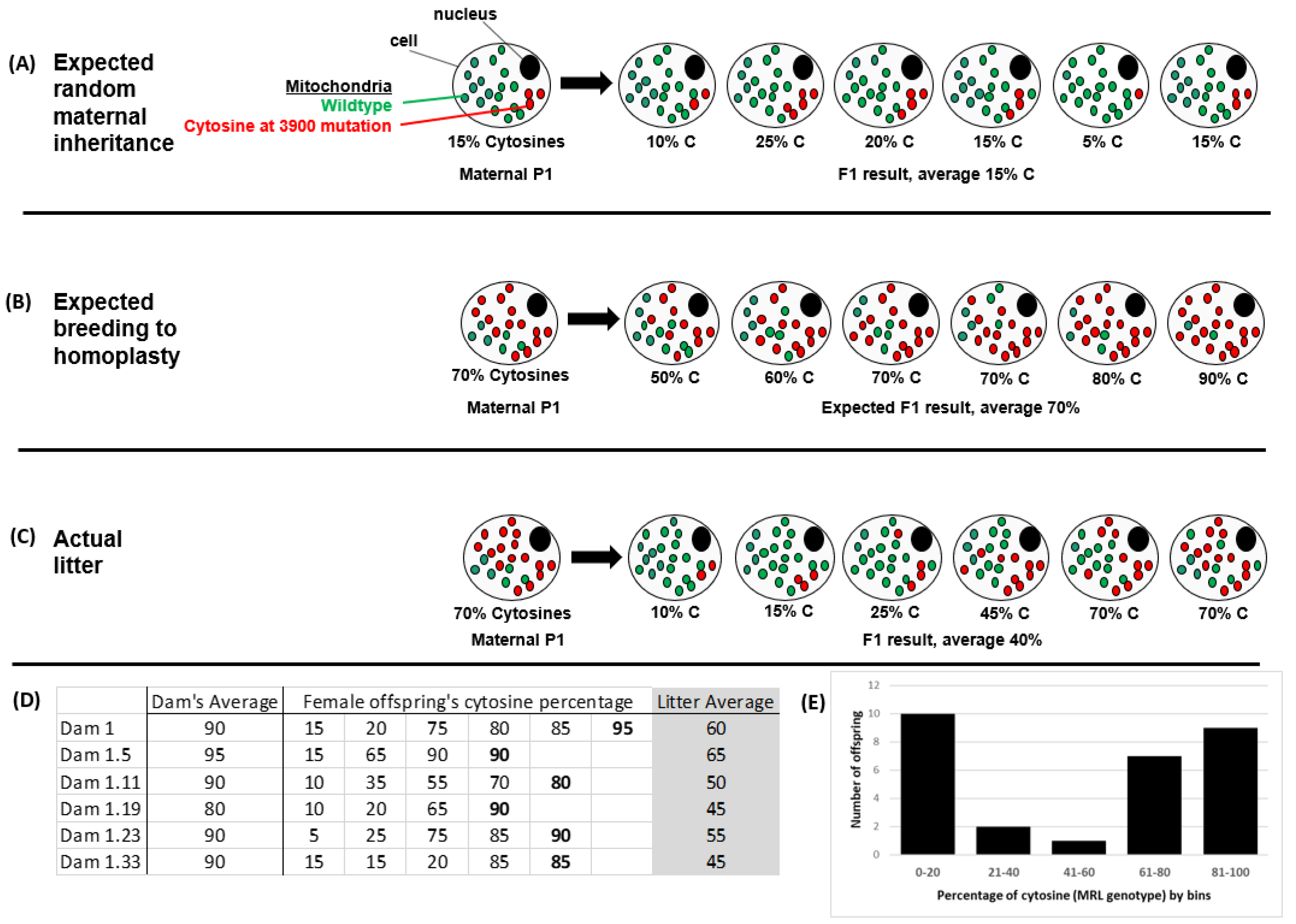 Muscles 02 00005 g001
