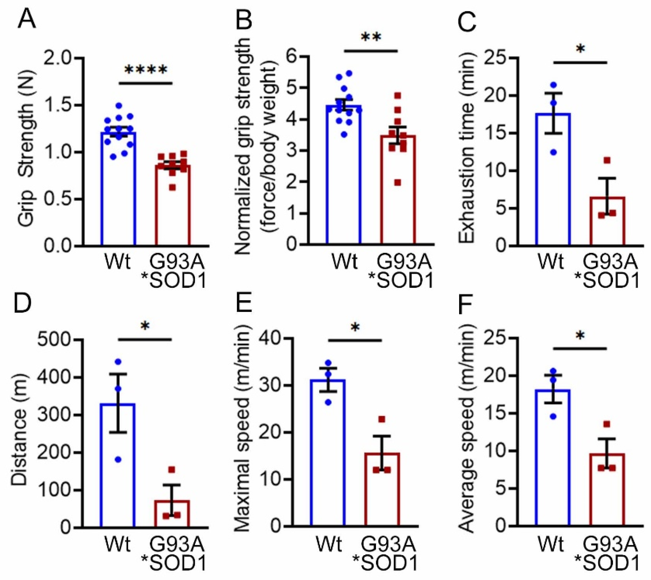 Muscles 02 00006 g003 Muscles 02 00006 g003