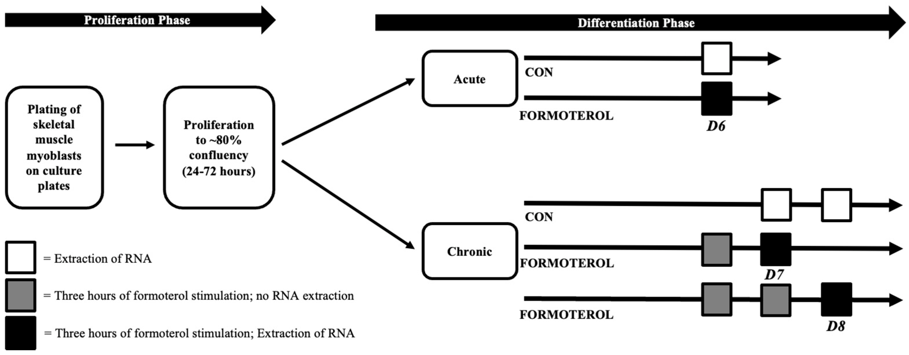 Muscles 02 00008 g006 Muscles 02 00008 g006