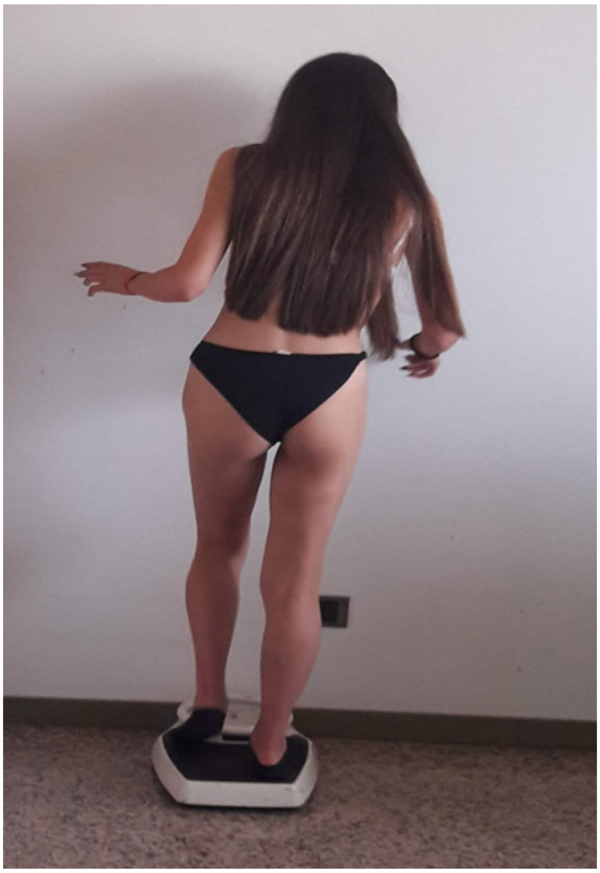 Muscles 02 00013 g001