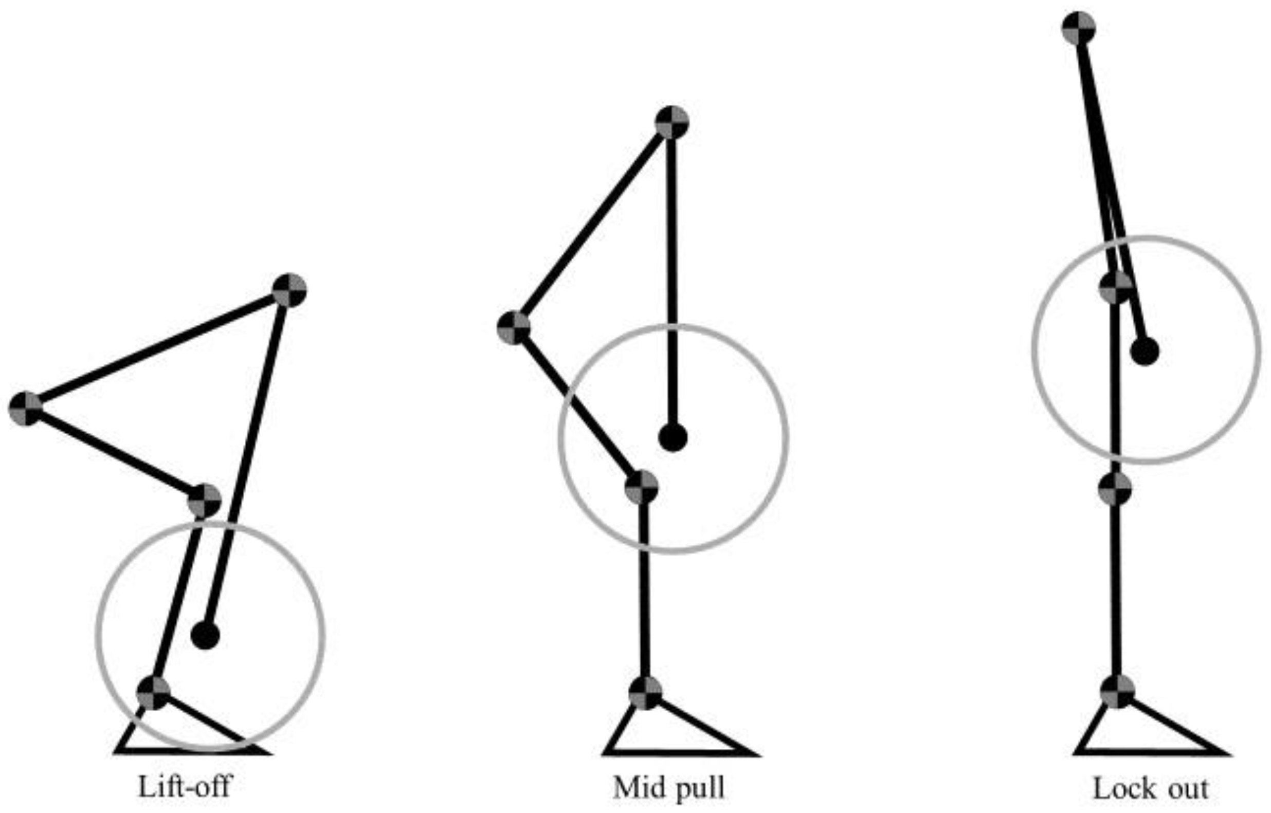 Muscles 02 00016 g003 Muscles 02 00016 g003