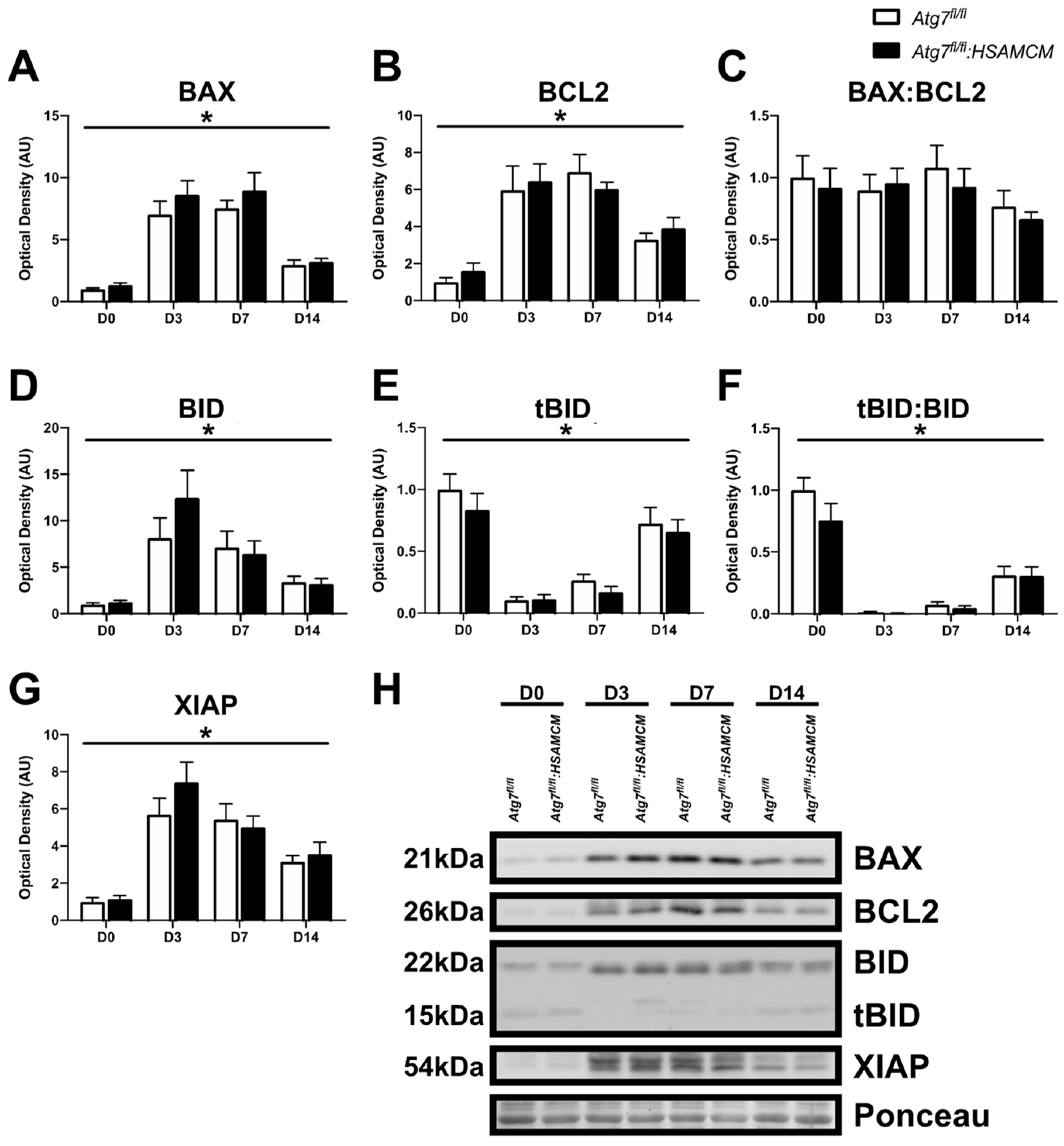 Muscles 02 00023 g007