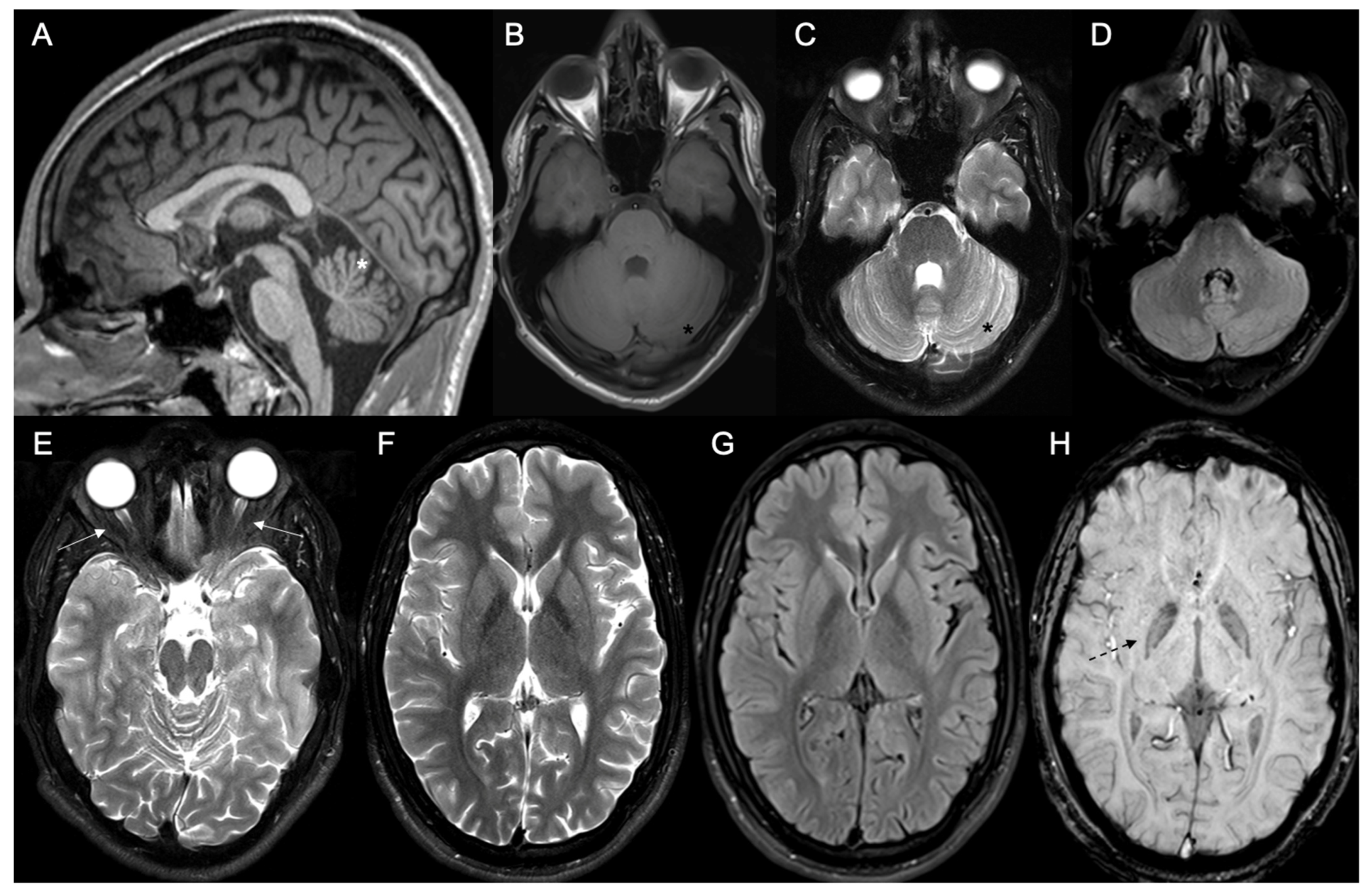 Muscles 03 00002 g001