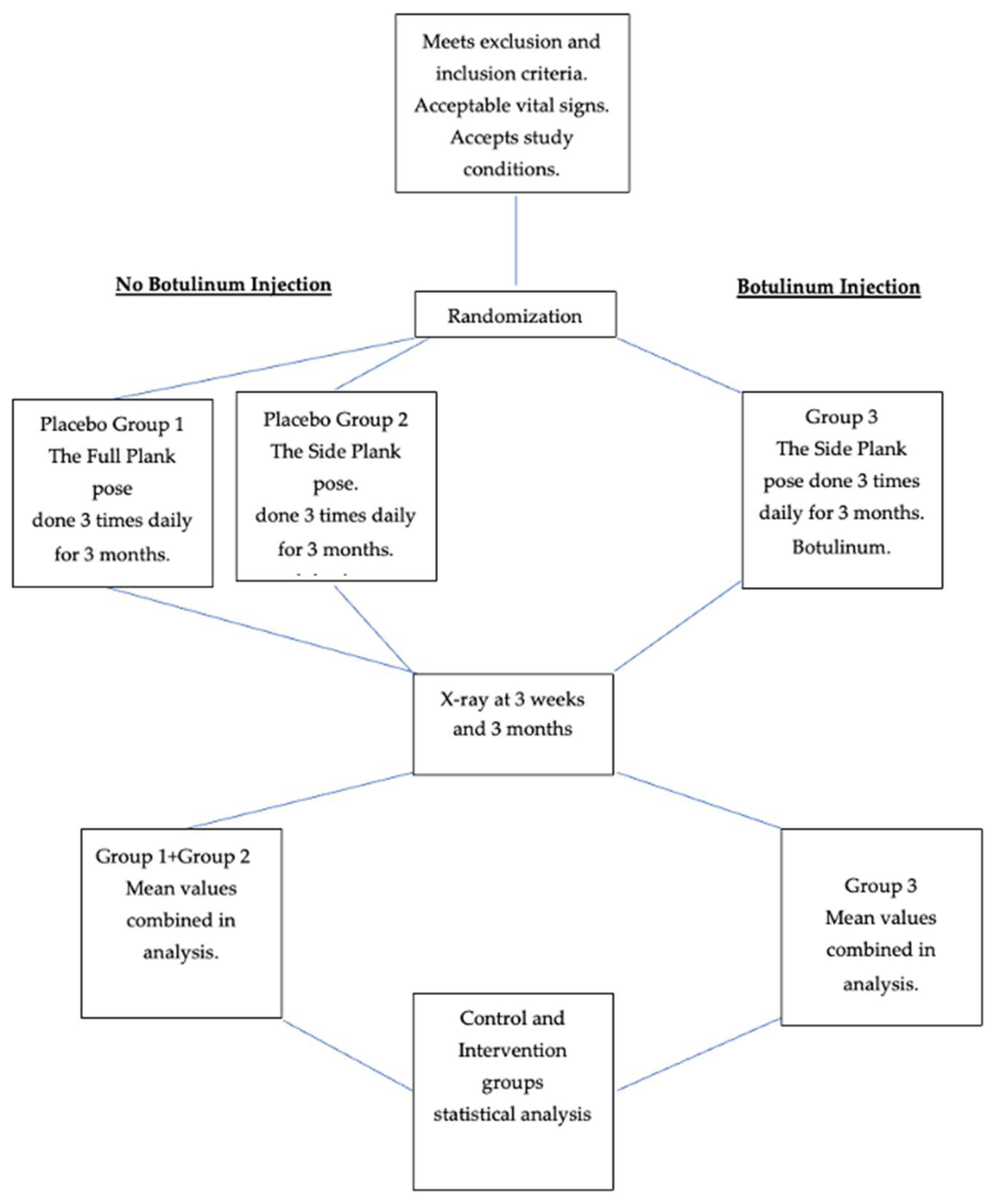 Muscles 03 00004 g001