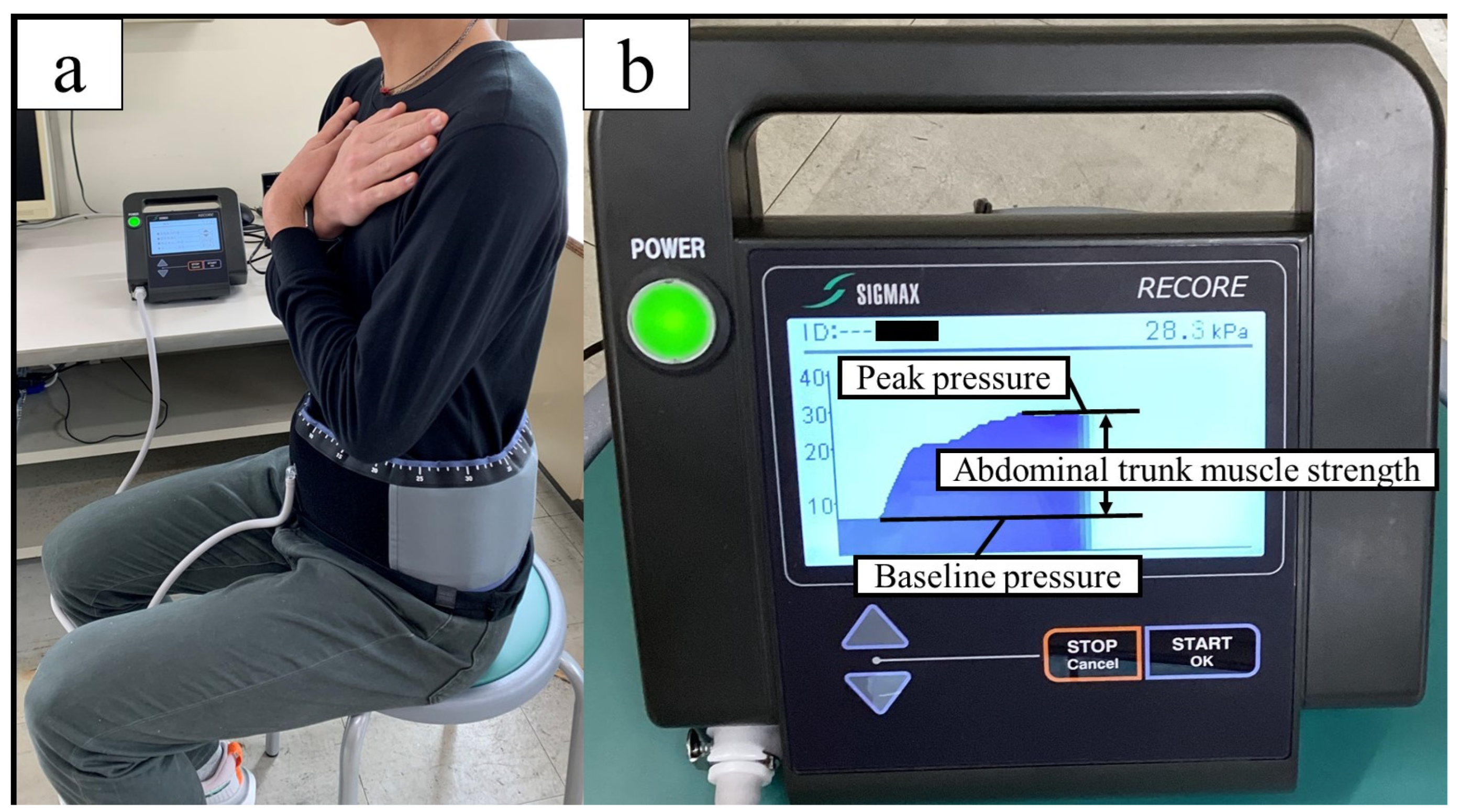 Muscles 03 00007 g002 Muscles 03 00007 g002