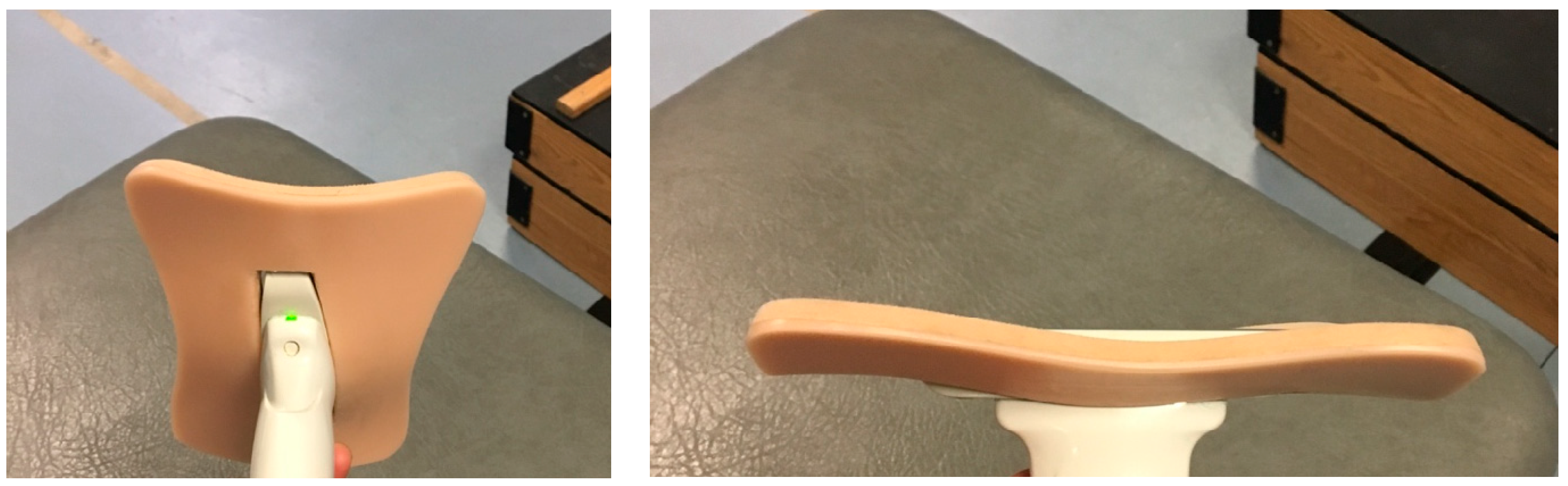 Muscles 03 00027 g002