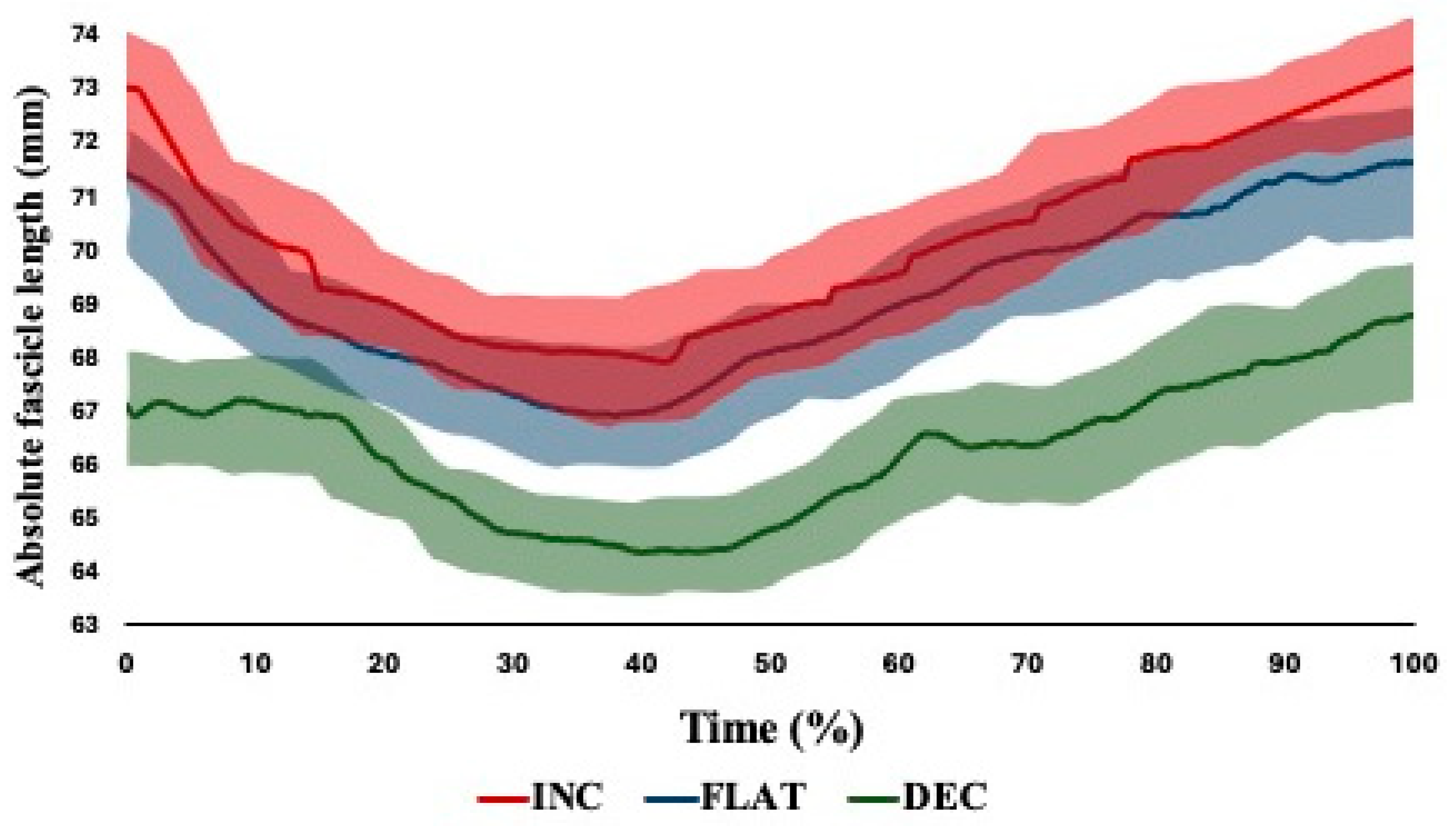 Muscles 03 00027 g004