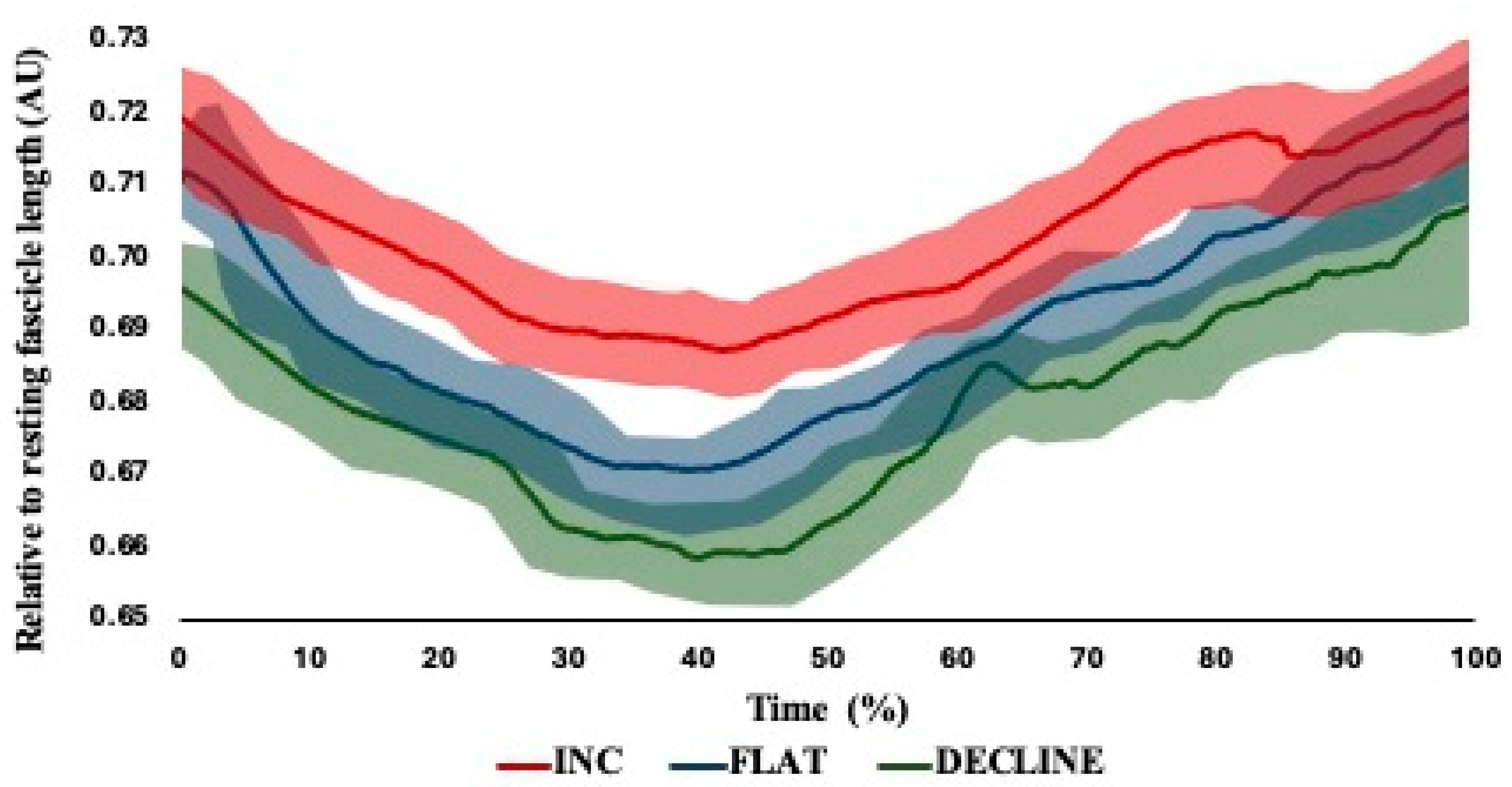 Muscles 03 00027 g005