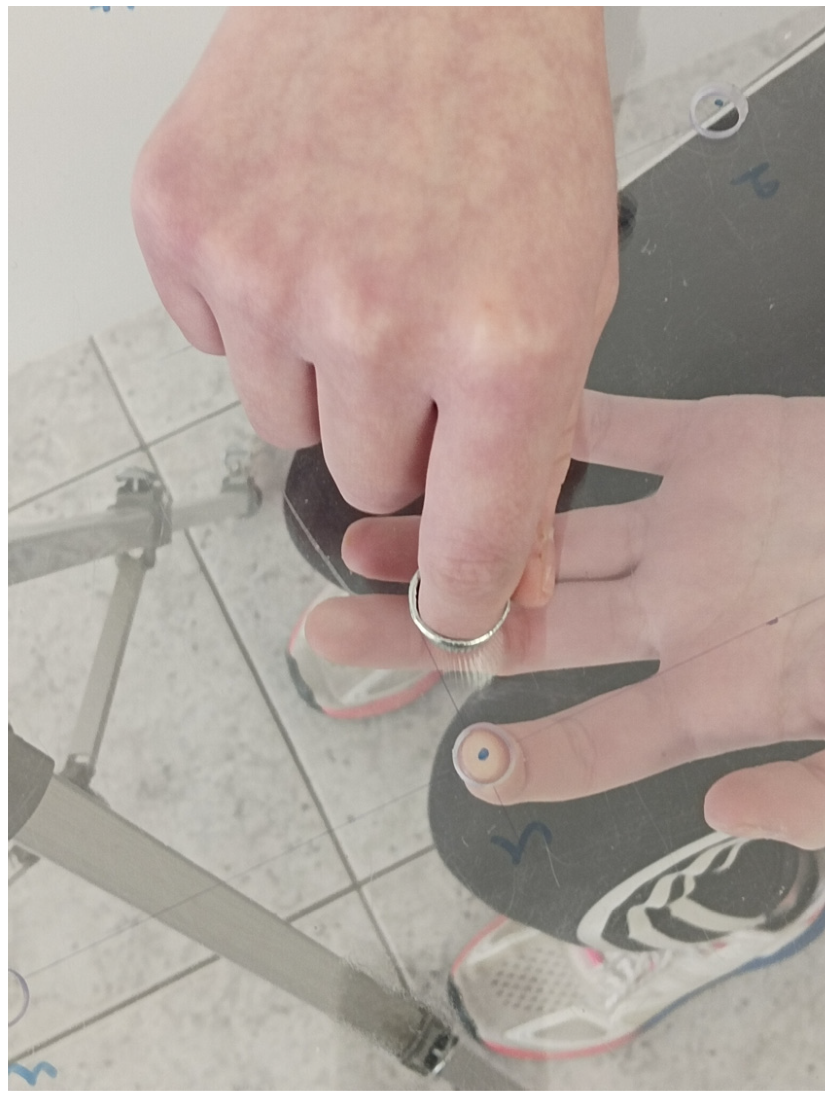 Muscles 03 00032 g003 Muscles 03 00032 g003