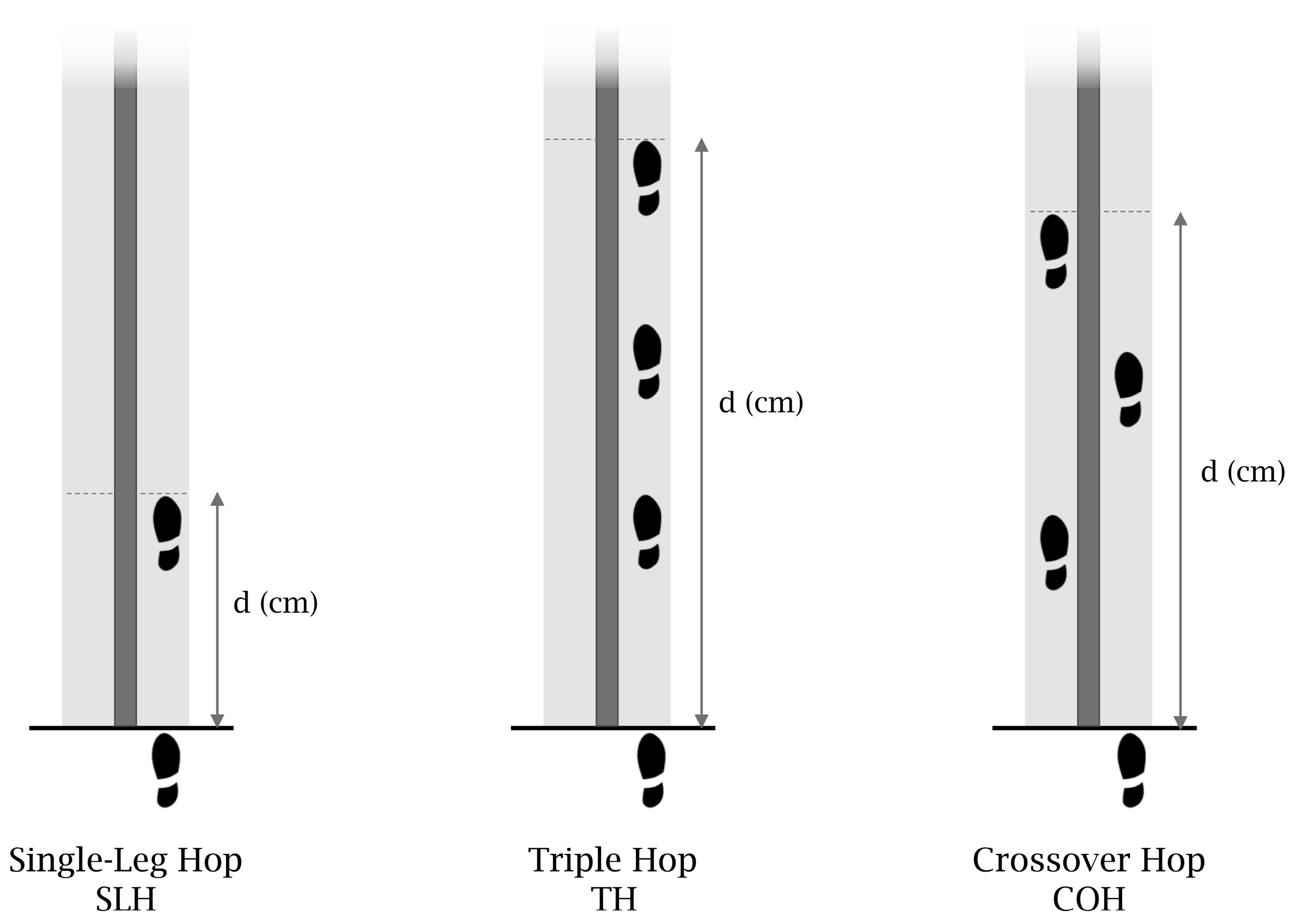 Muscles 04 00003 g001 Muscles 04 00003 g001