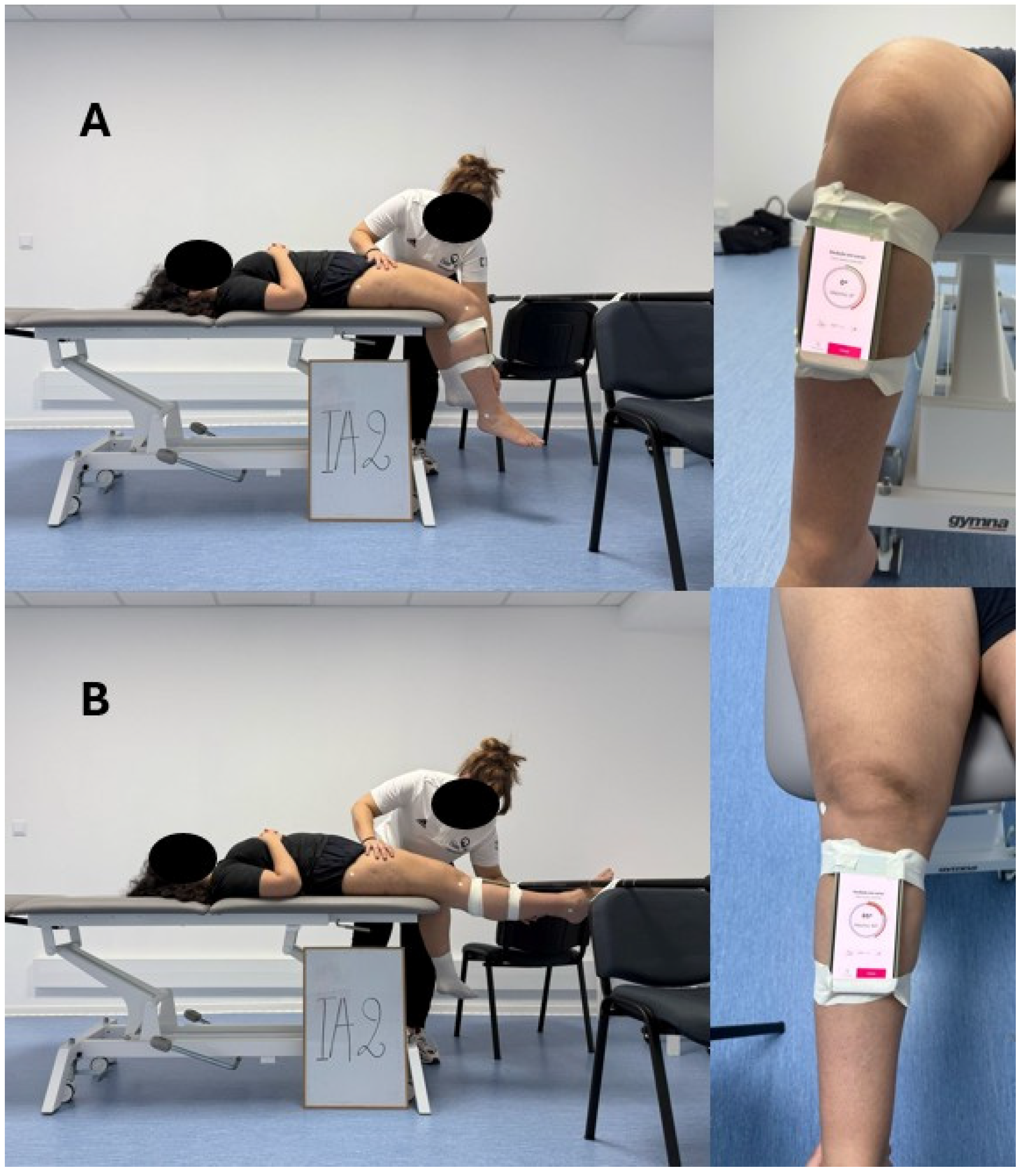 Muscles 04 00008 g002