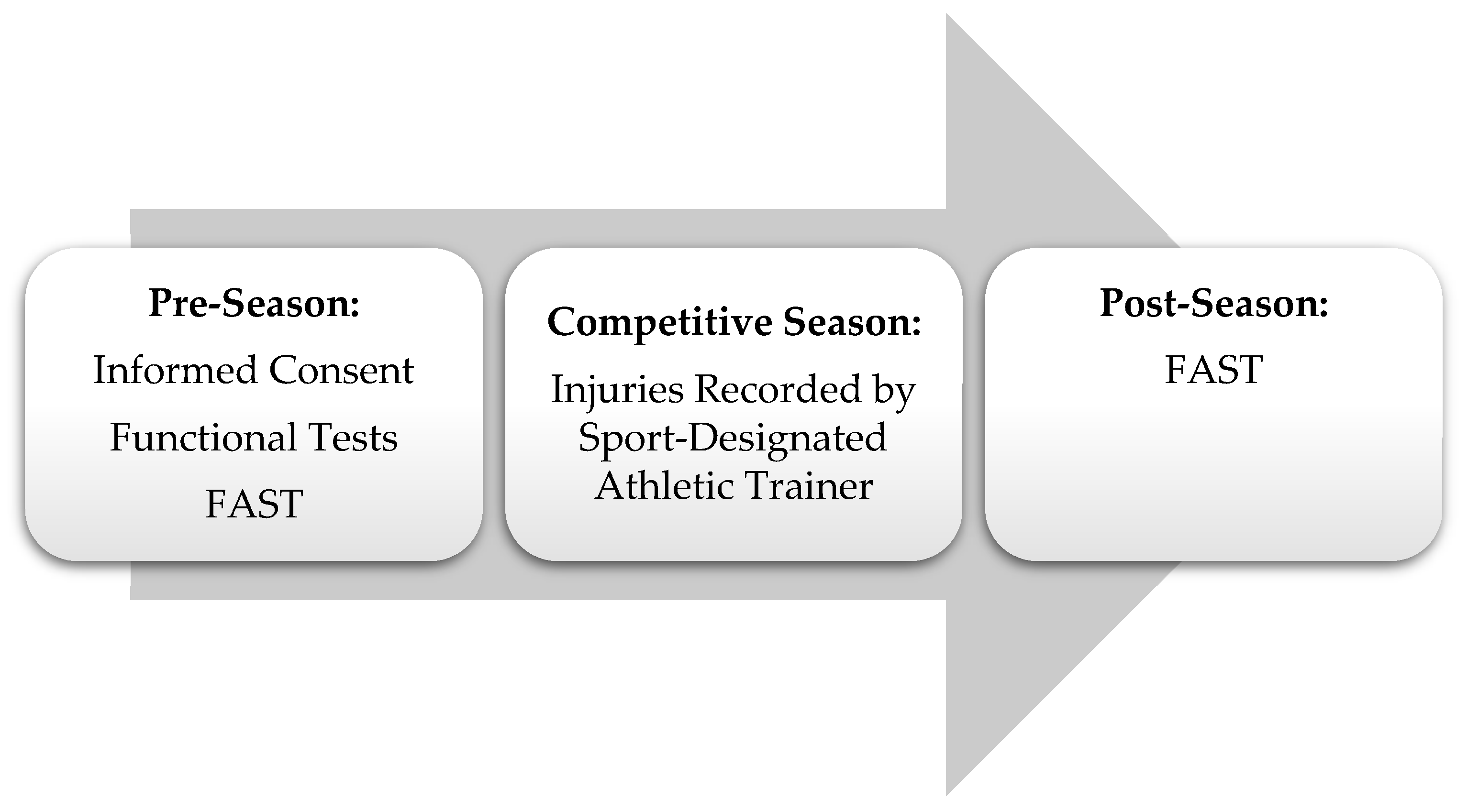 Muscles 04 00010 g001