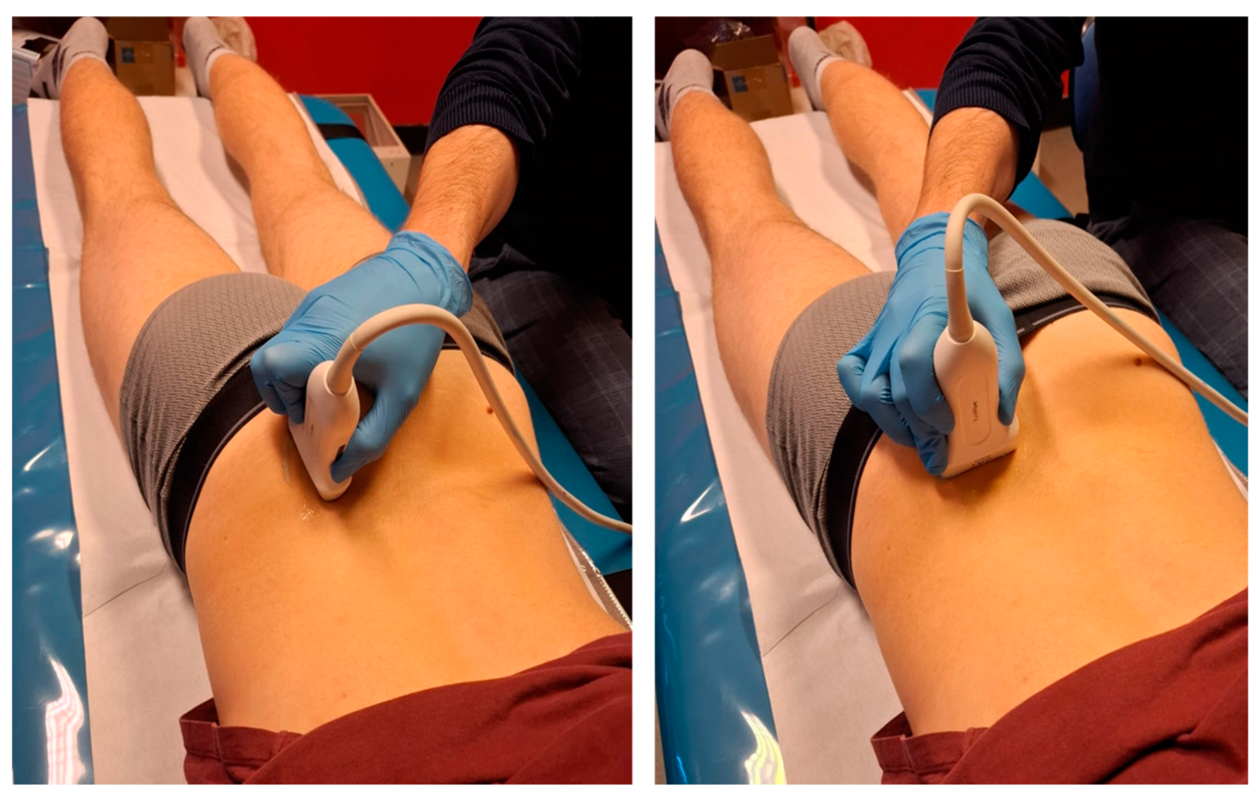 Muscles 04 00012 g002