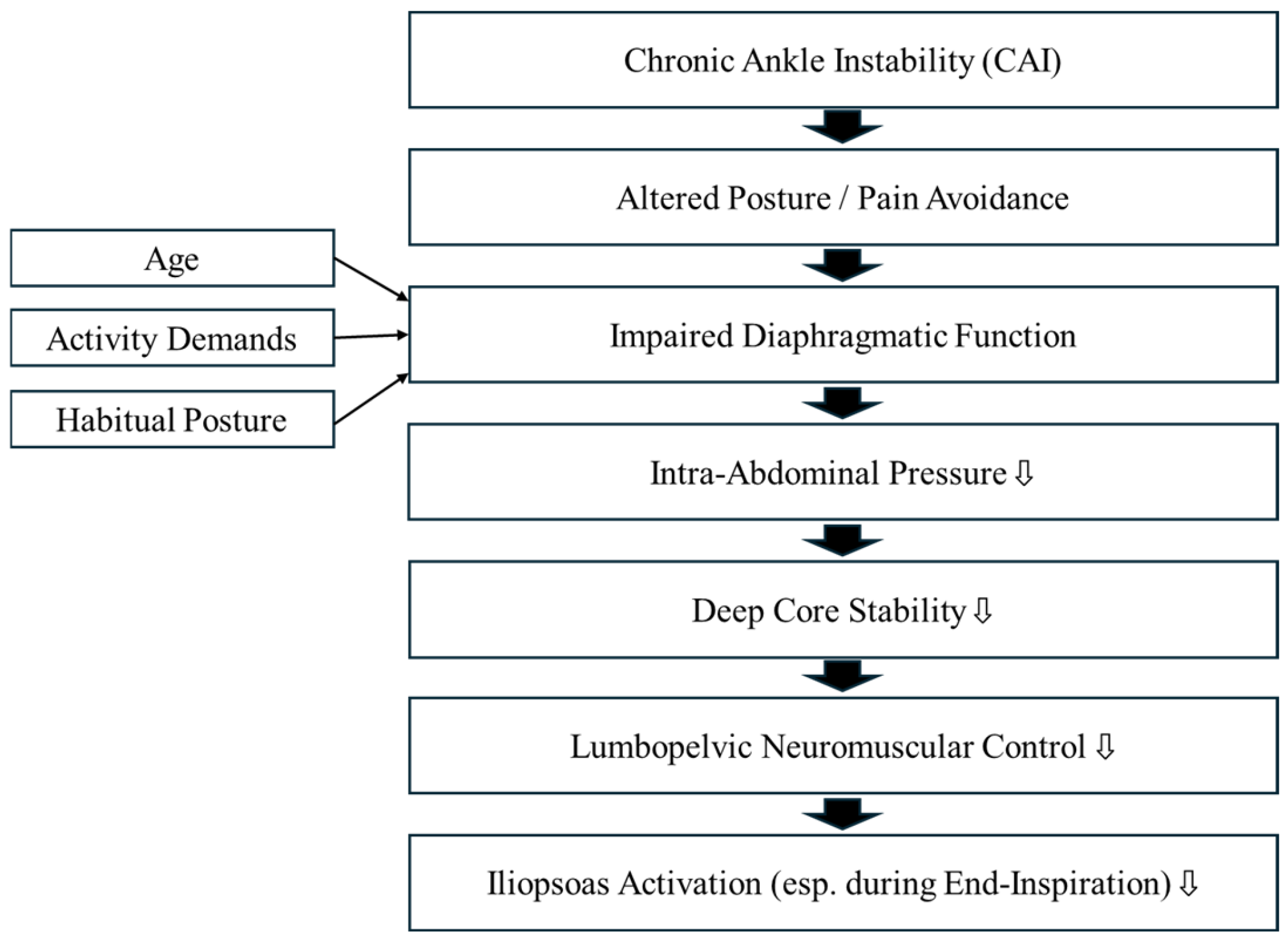 Muscles 04 00016 g001