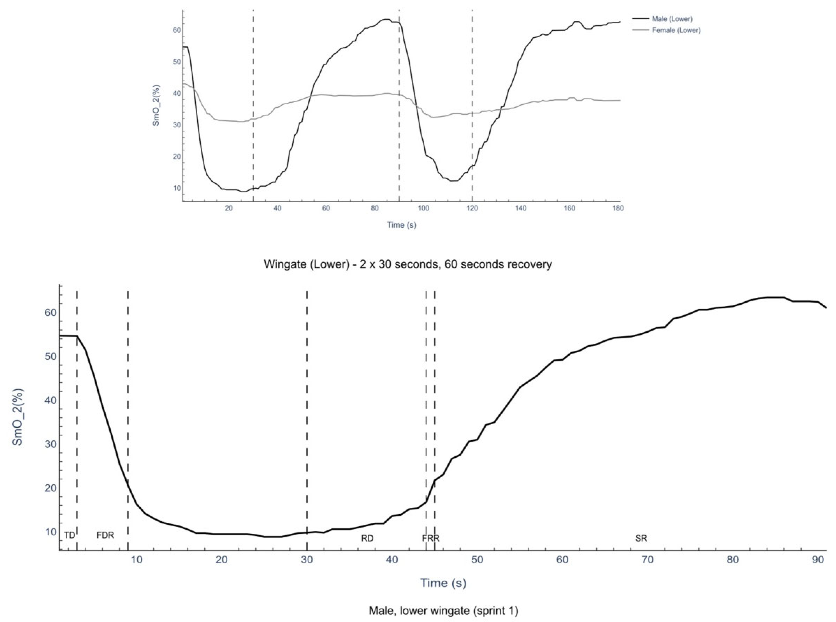 Muscles 04 00018 g001