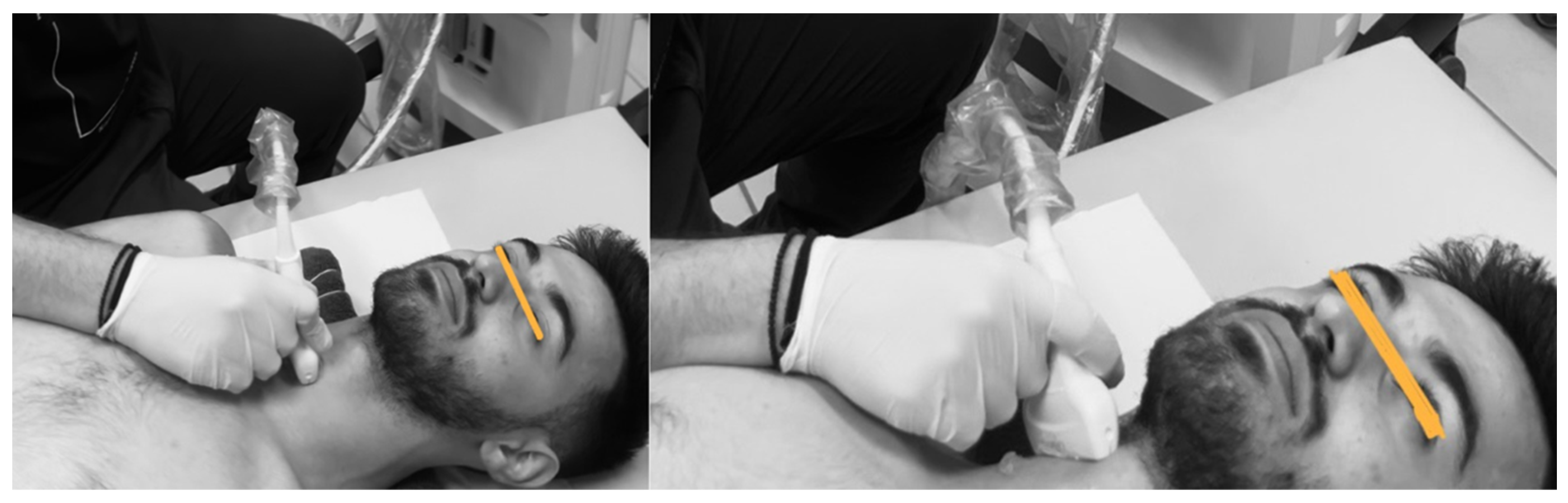 Muscles 04 00028 g001