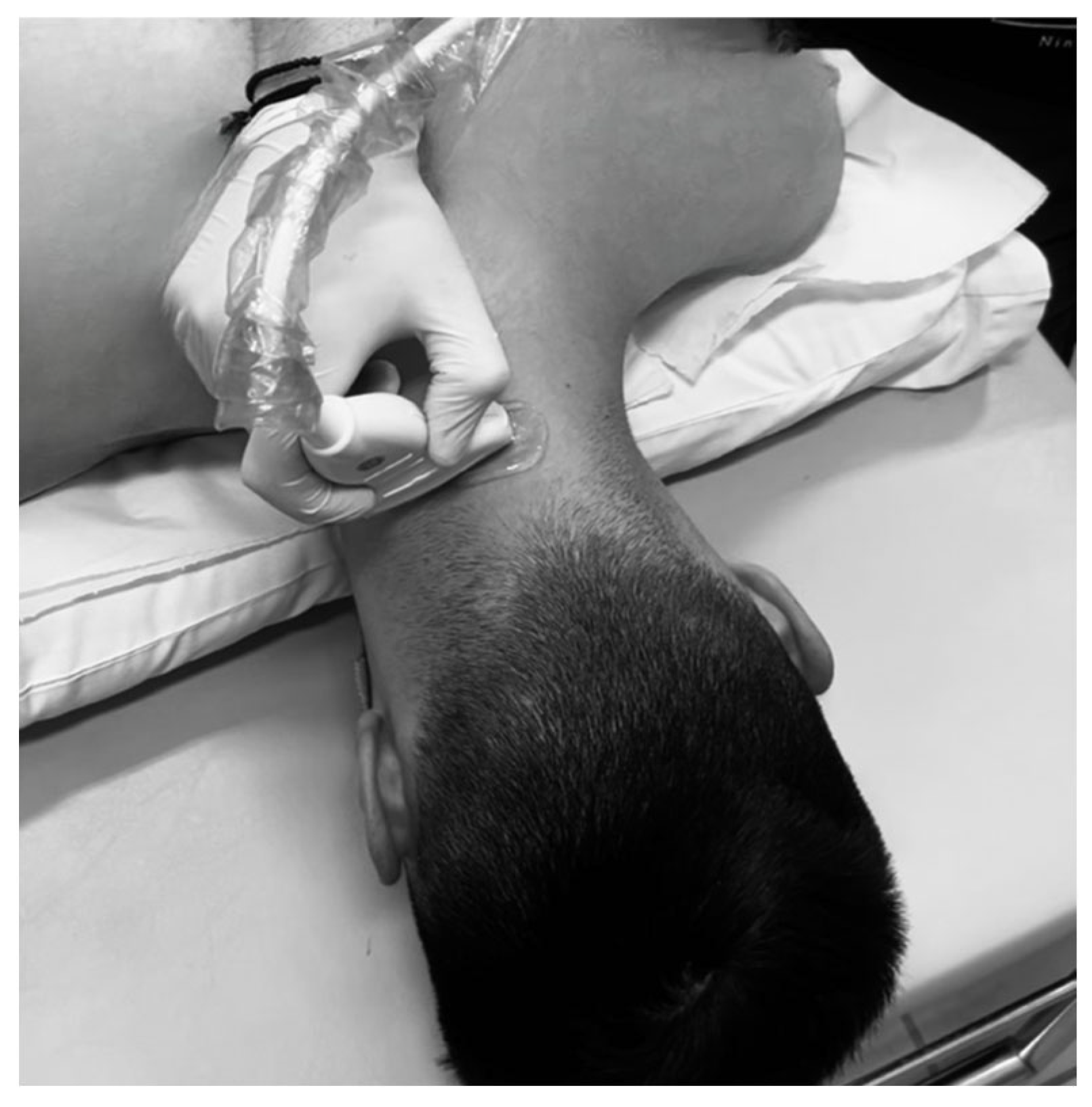 Muscles 04 00028 g002