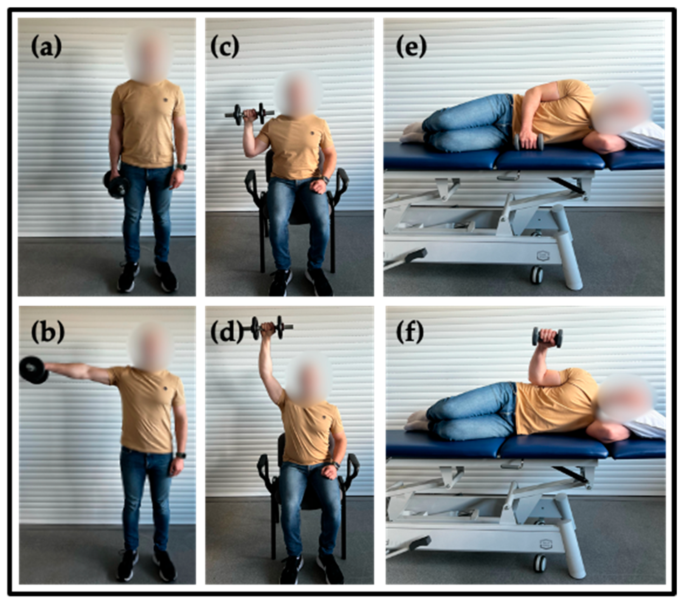 Muscles 04 00034 g002