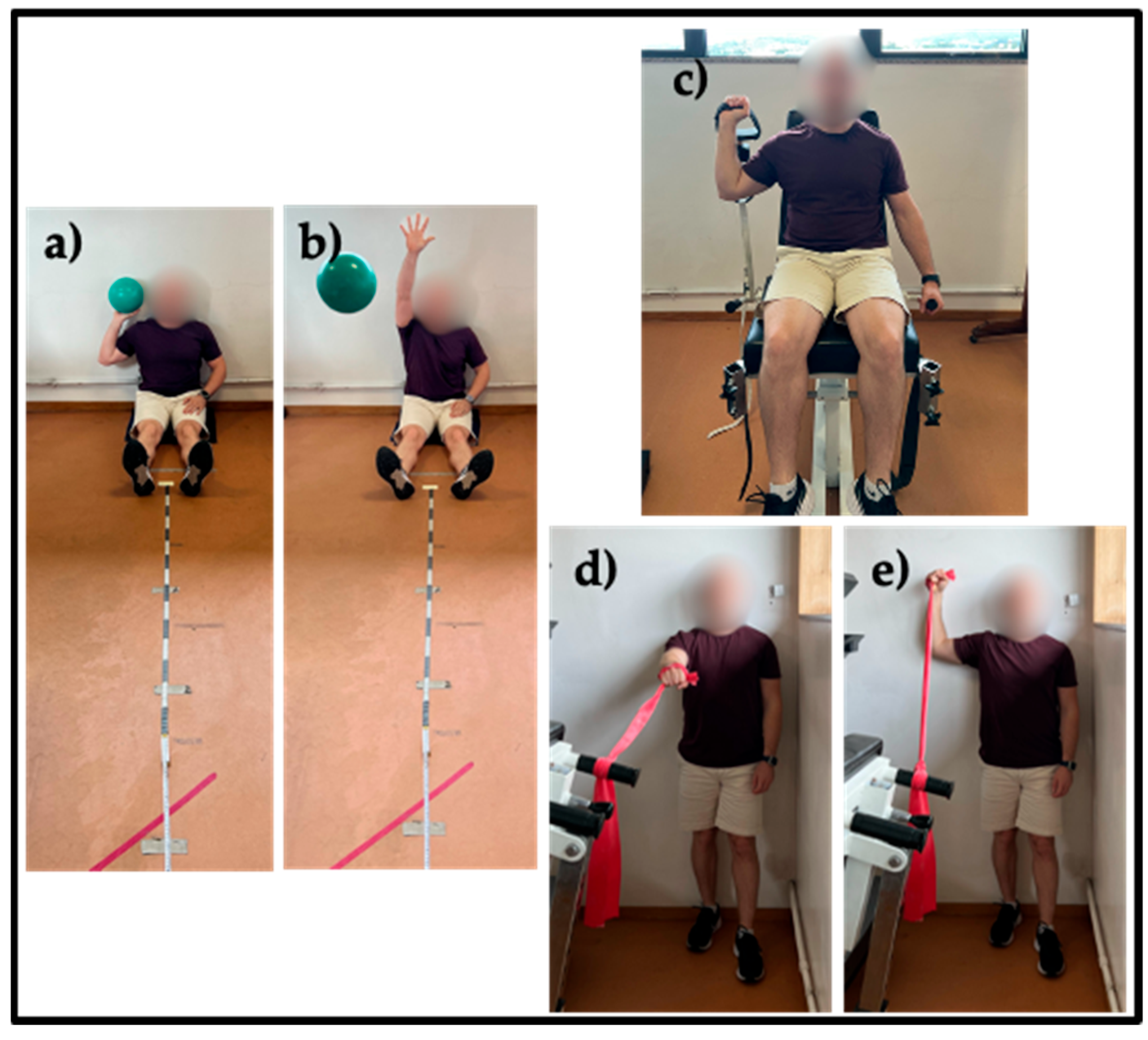 Muscles 04 00034 g003