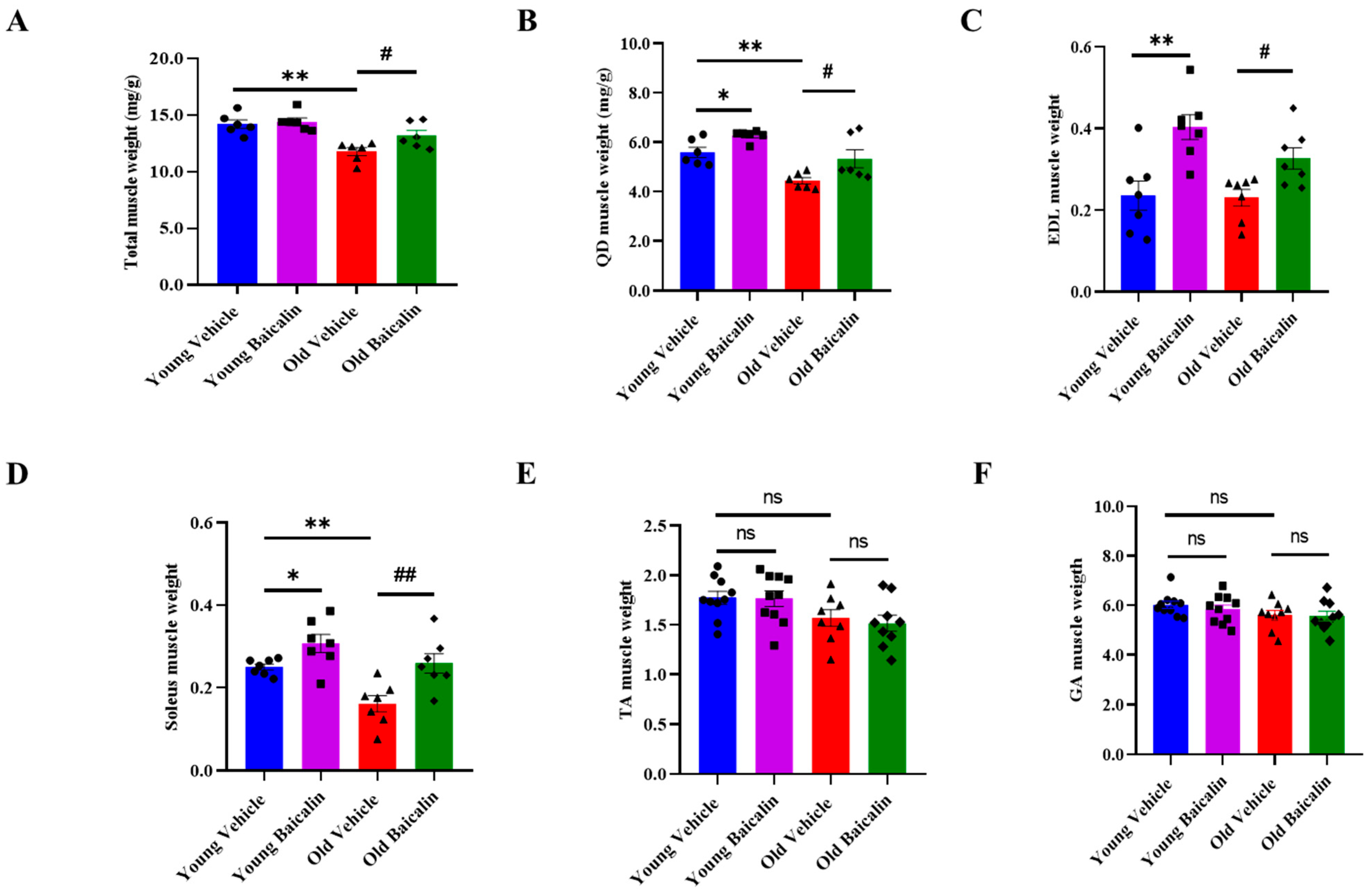Muscles 04 00035 g001