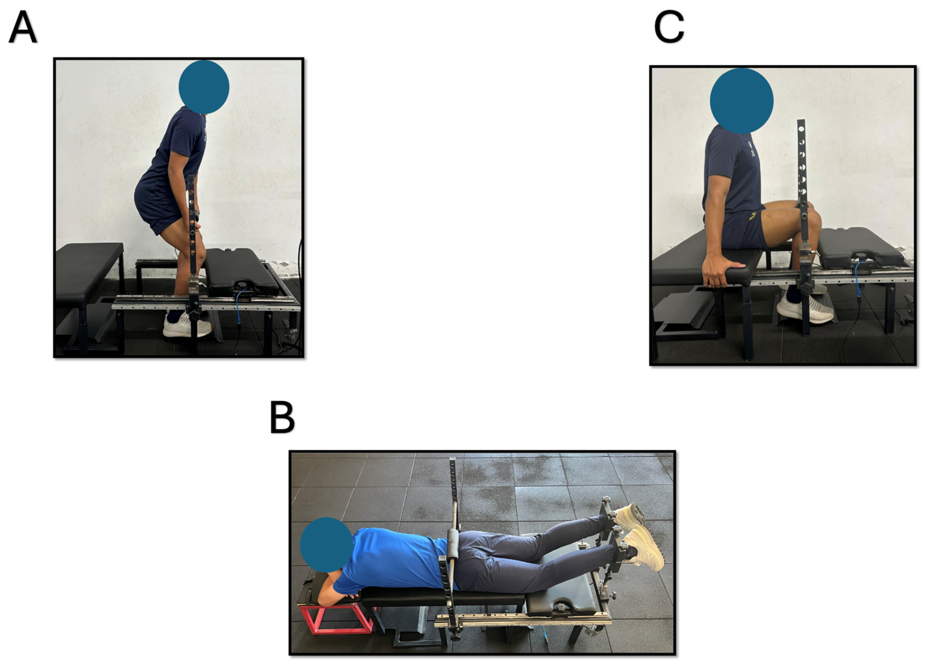 Muscles 04 00036 g001 Muscles 04 00036 g001