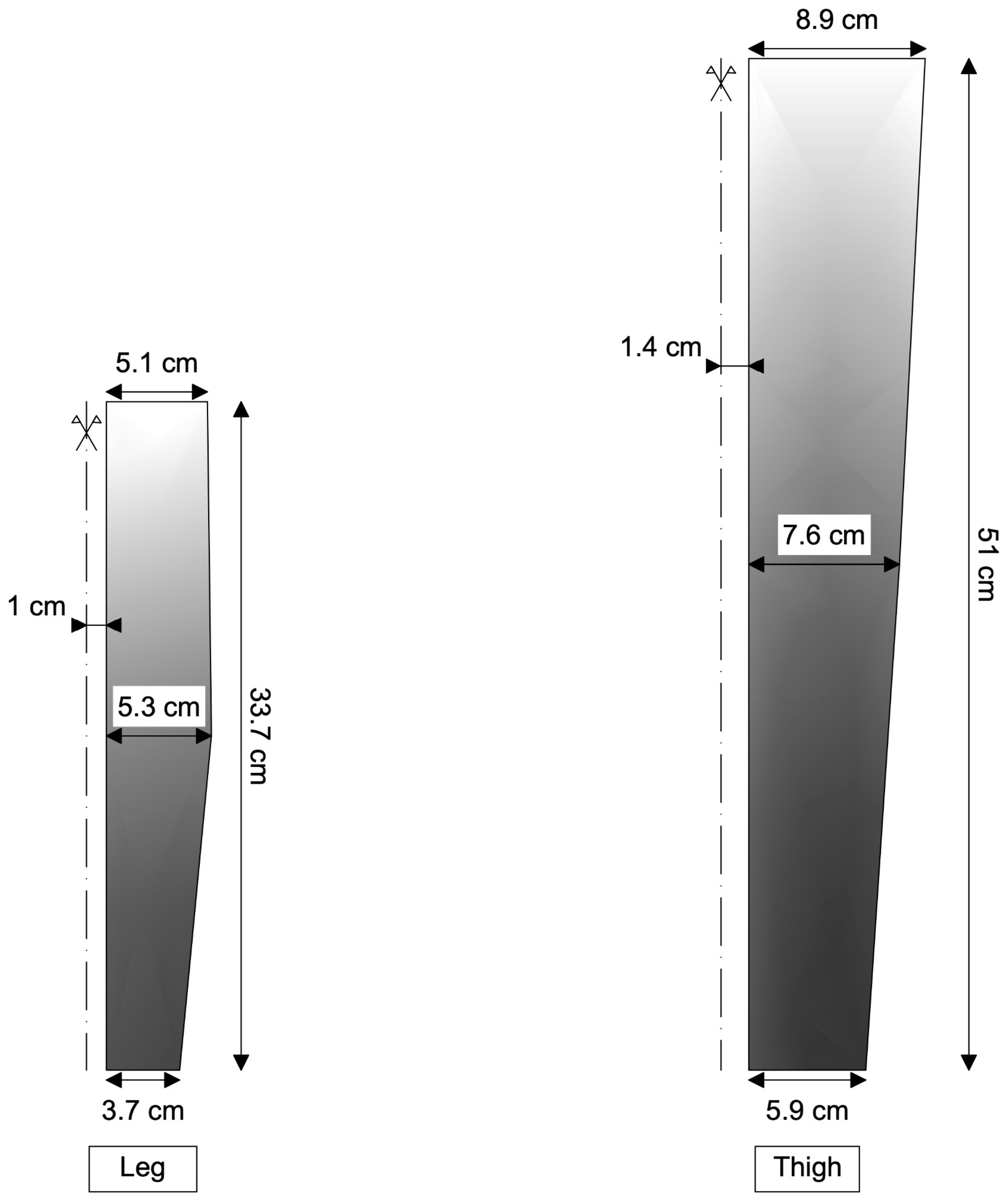 Muscles 04 00042 g001