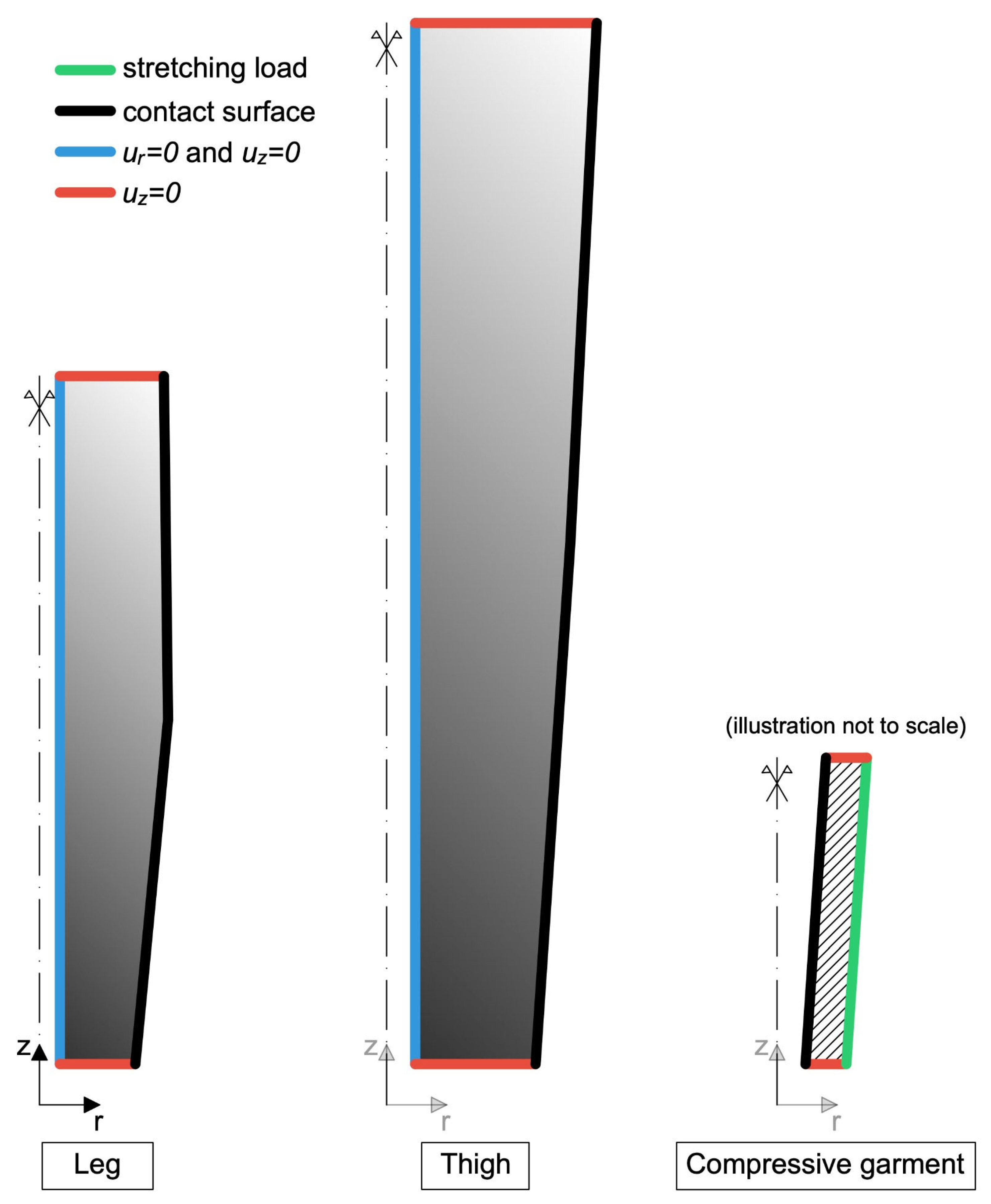 Muscles 04 00042 g003