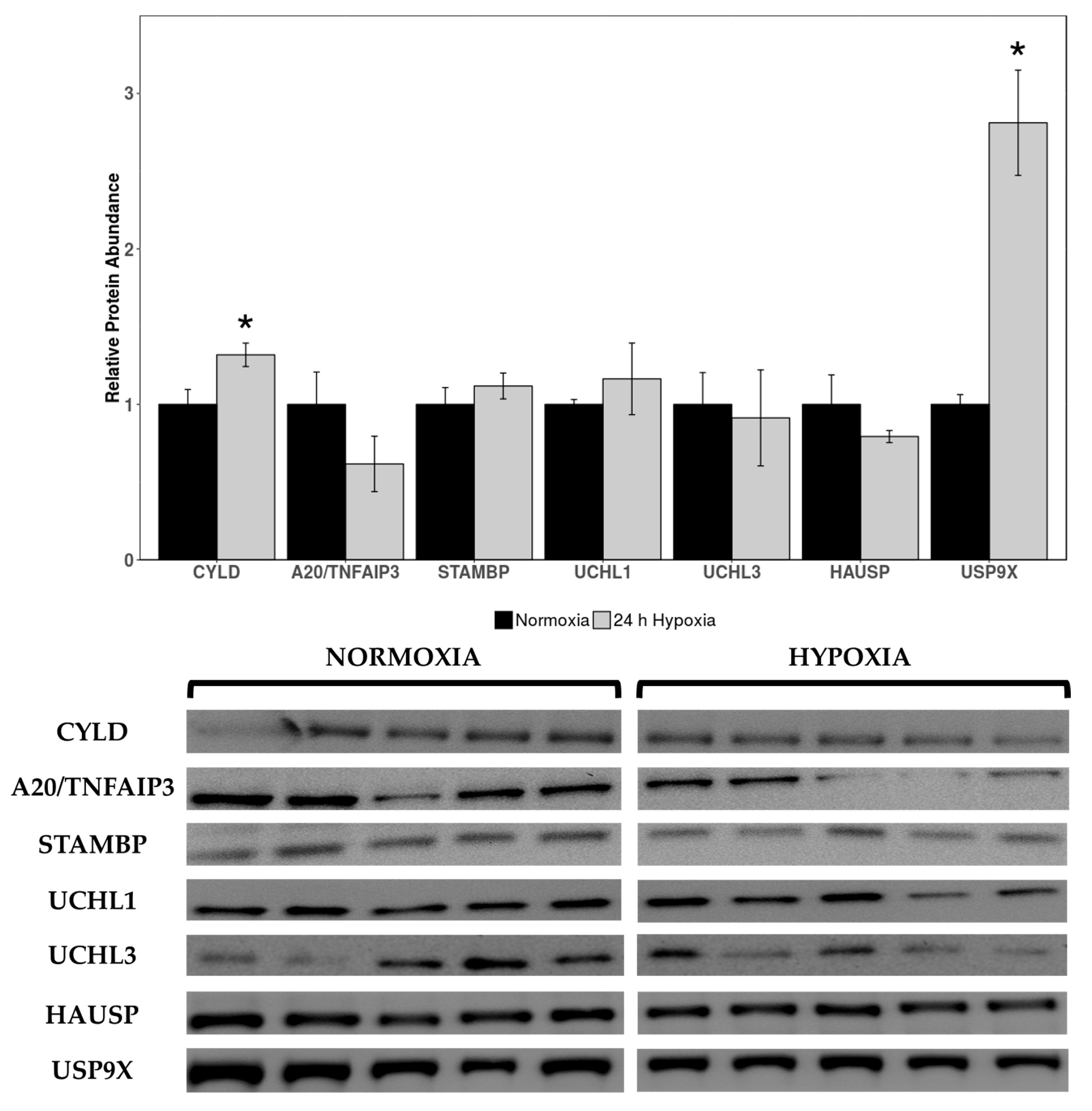 Muscles 05 00006 g002 Muscles 05 00006 g002