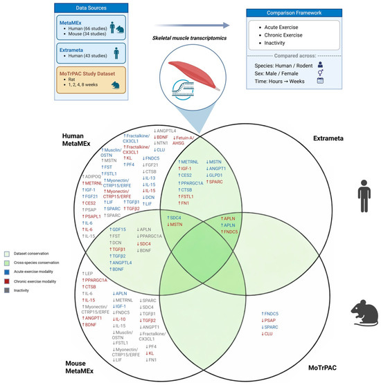 Cross-Platform Transcriptomic Analysis of 40 Human and Rodent Skeletal ...