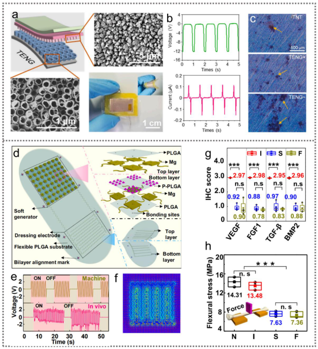 Nanoenergyadv 02 00005 g004 Nanoenergyadv 02 00005 g004