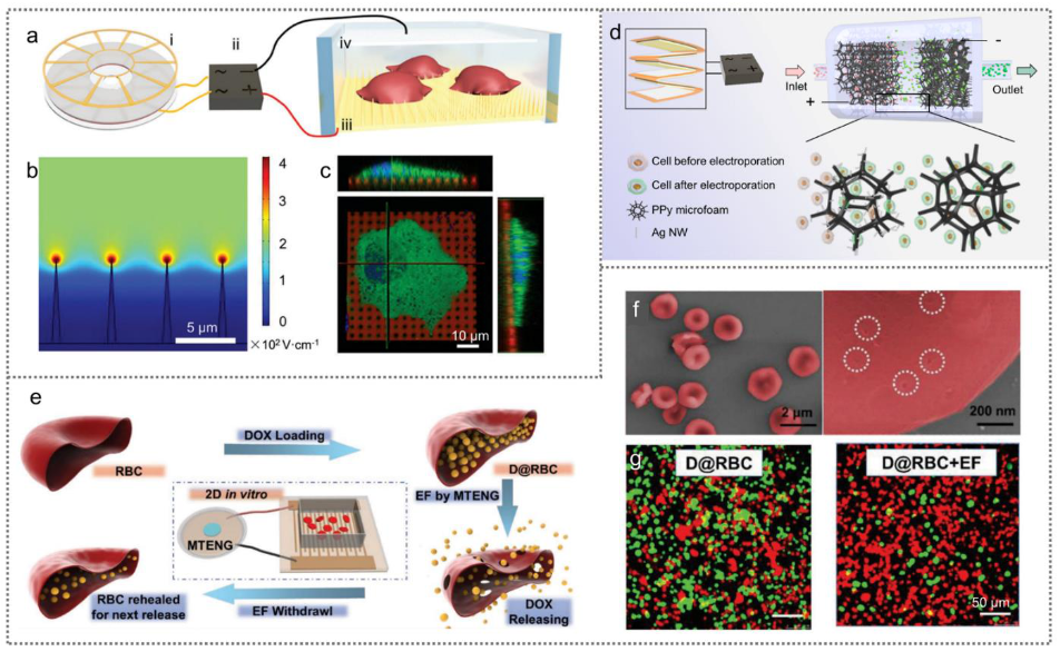 Nanoenergyadv 02 00005 g006 Nanoenergyadv 02 00005 g006