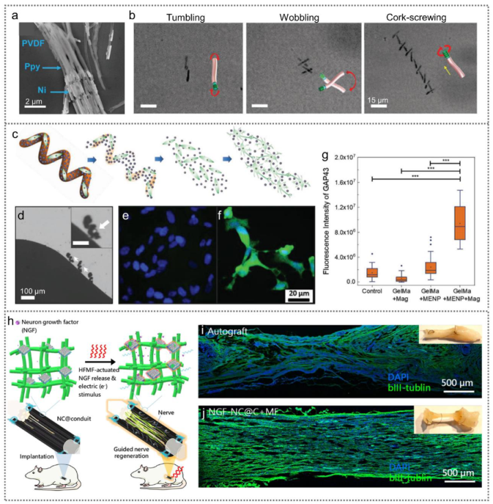 Nanoenergyadv 02 00005 g009 Nanoenergyadv 02 00005 g009