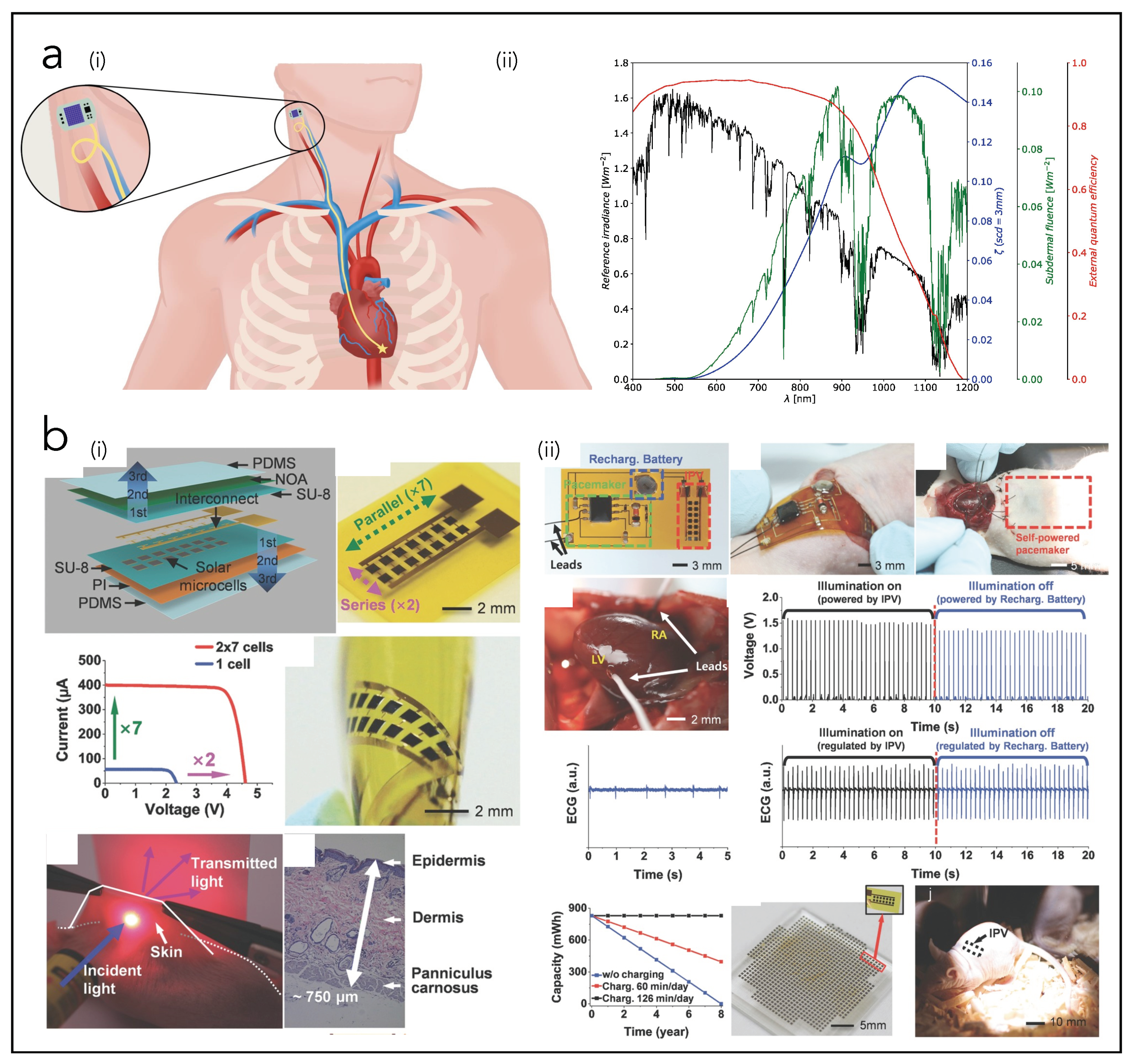Nanoenergyadv 02 00018 g005 Nanoenergyadv 02 00018 g005
