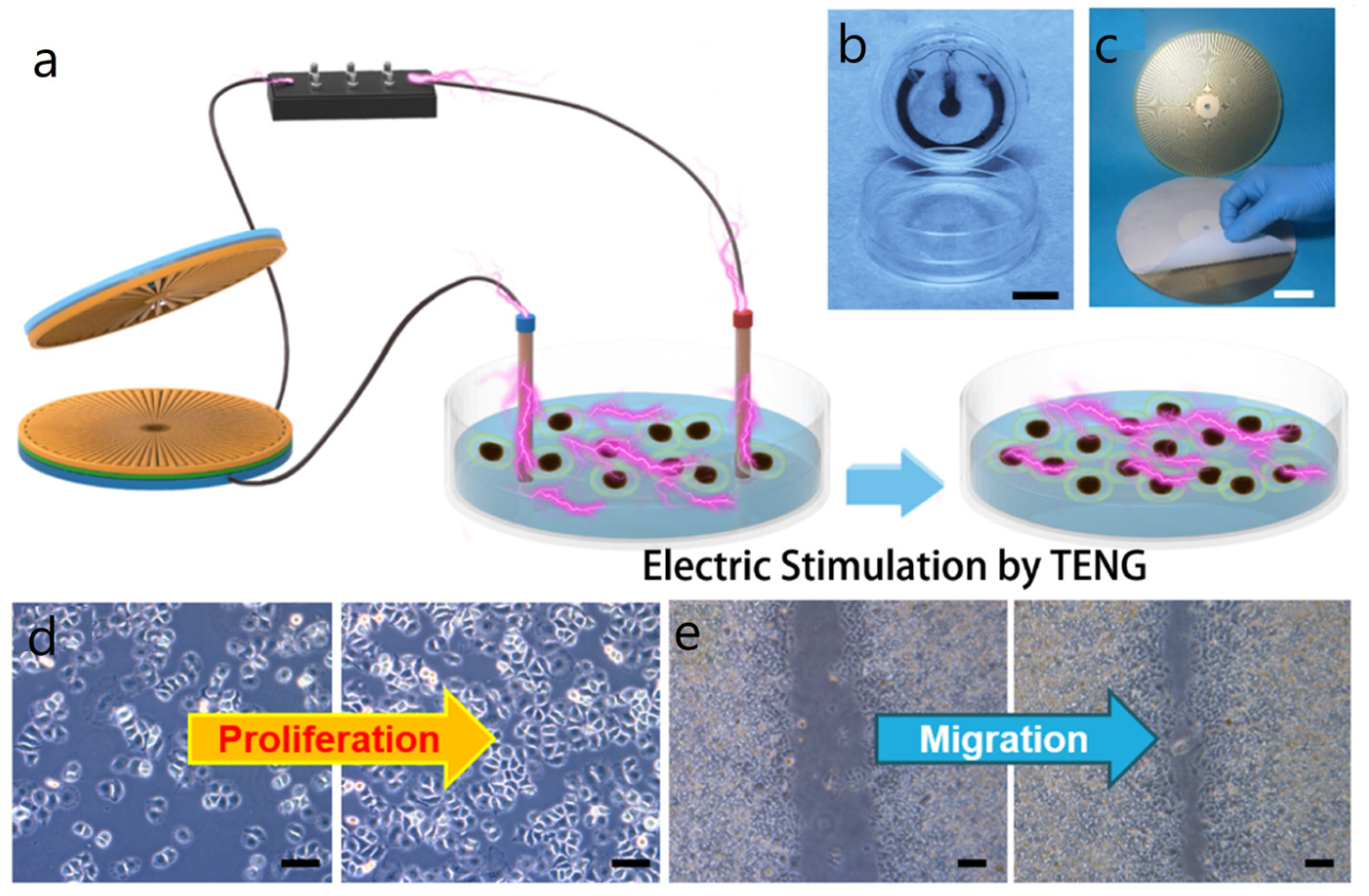 Nanoenergyadv 03 00010 g040 Nanoenergyadv 03 00010 g040