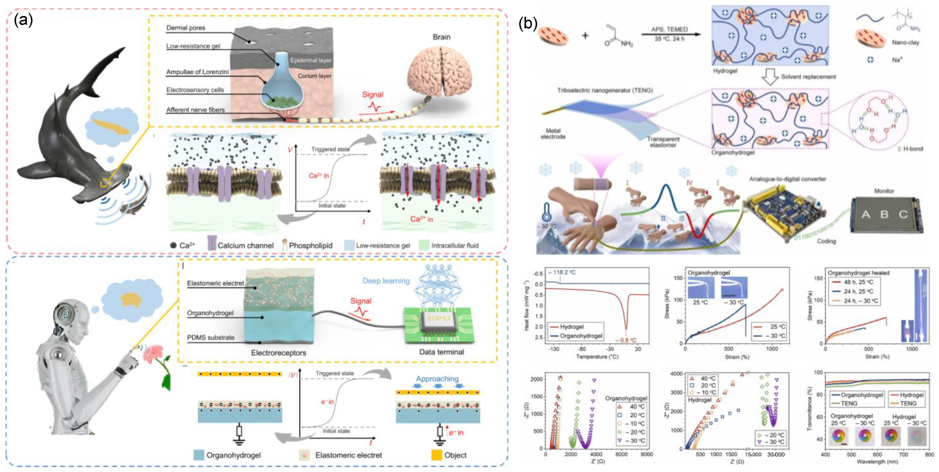 Nanoenergyadv 04 00003 g008
