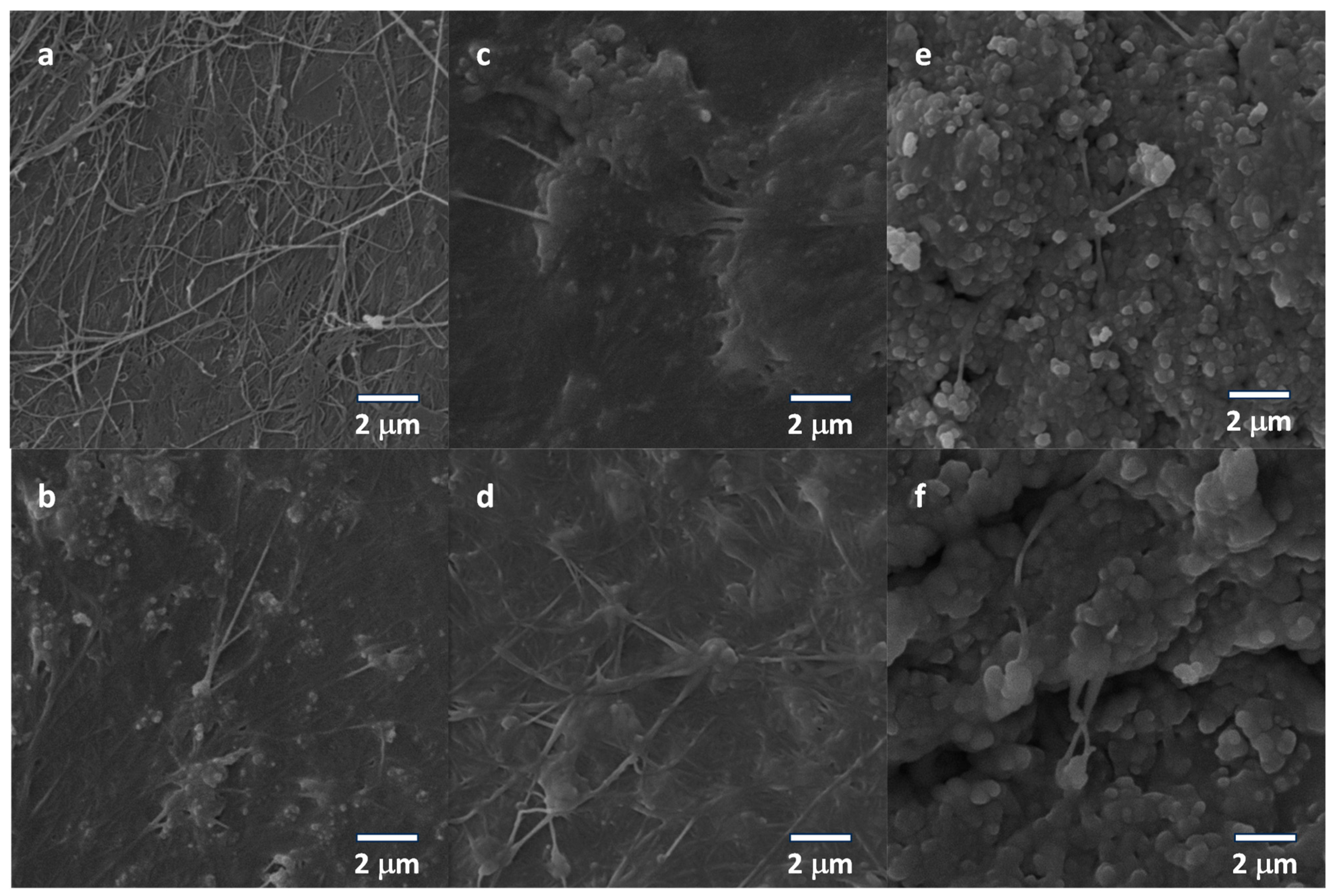 Nanoenergyadv 04 00006 g002