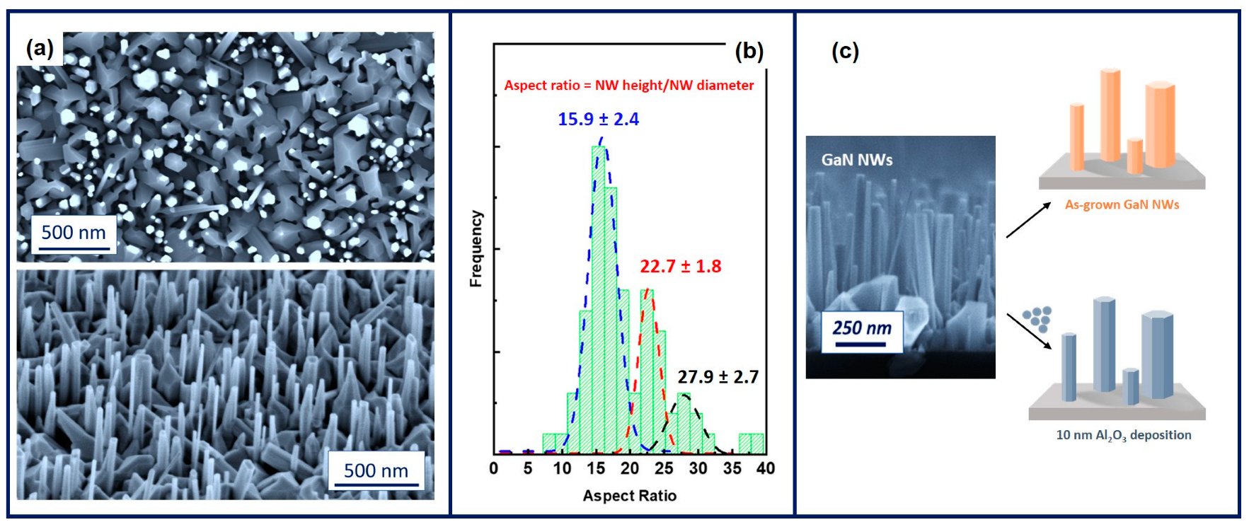 Nanoenergyadv 04 00008 g001