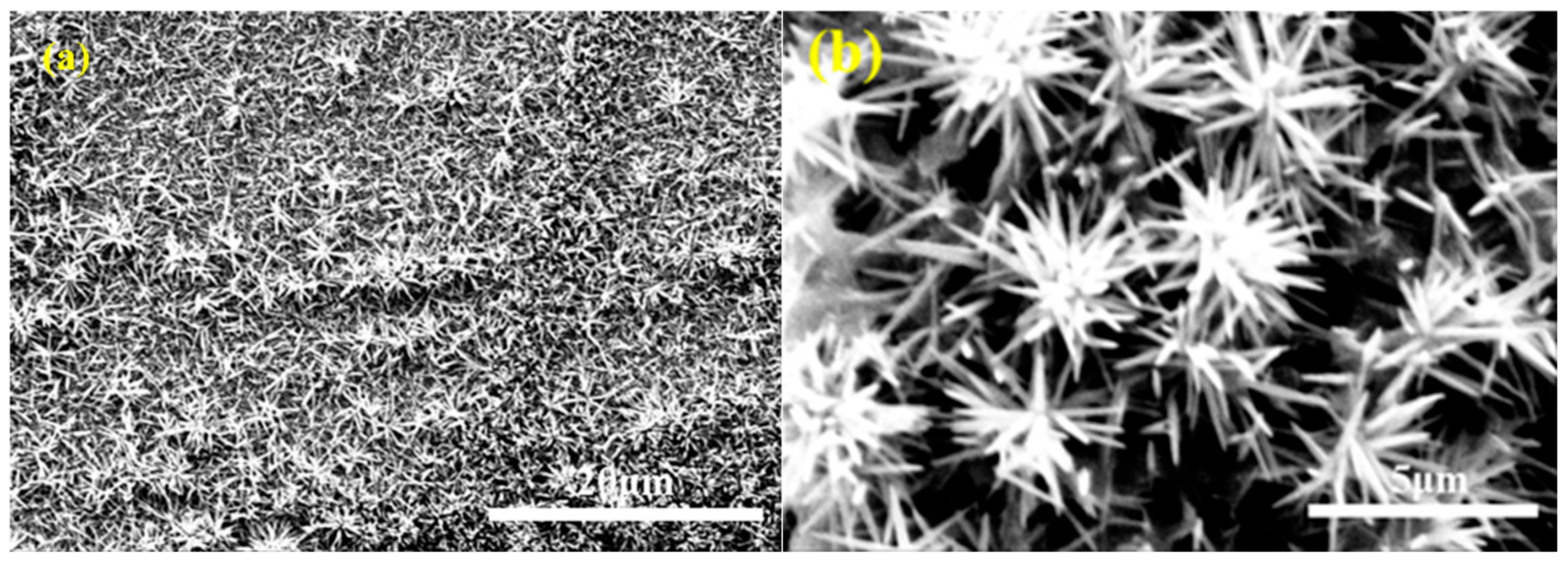 Nanoenergyadv 05 00014 g004