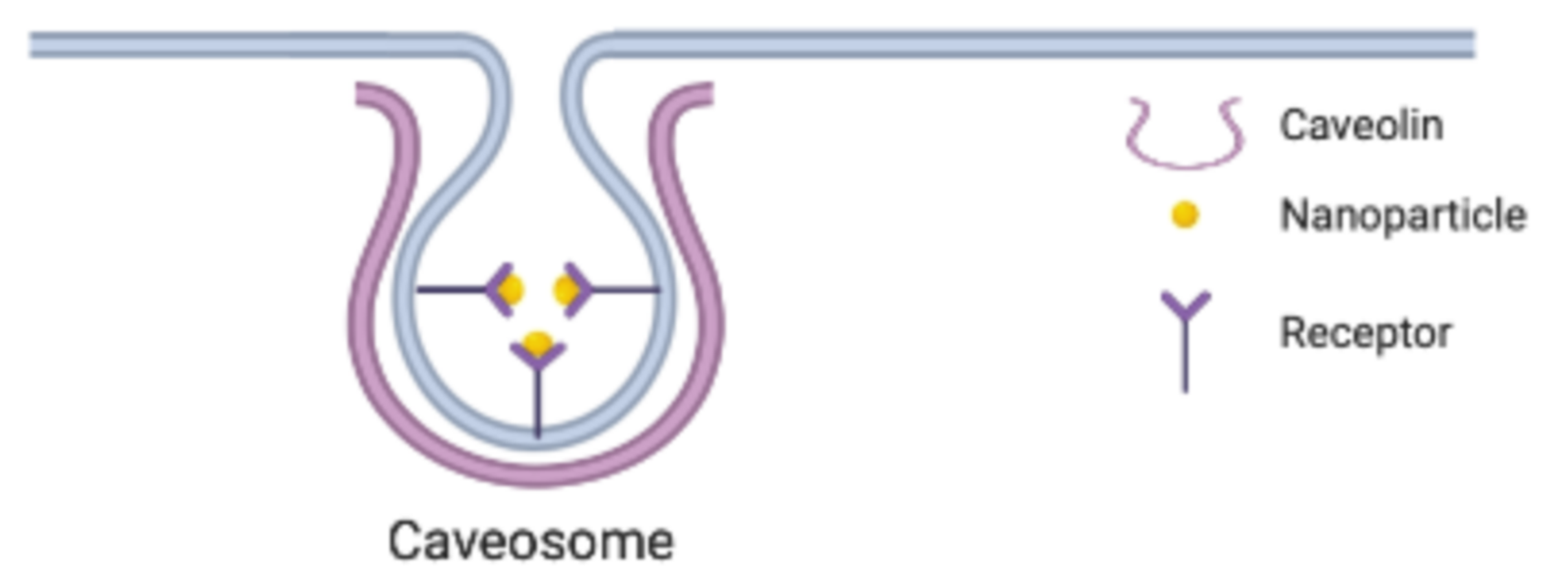 Nanomanufacturing 02 00001 g002