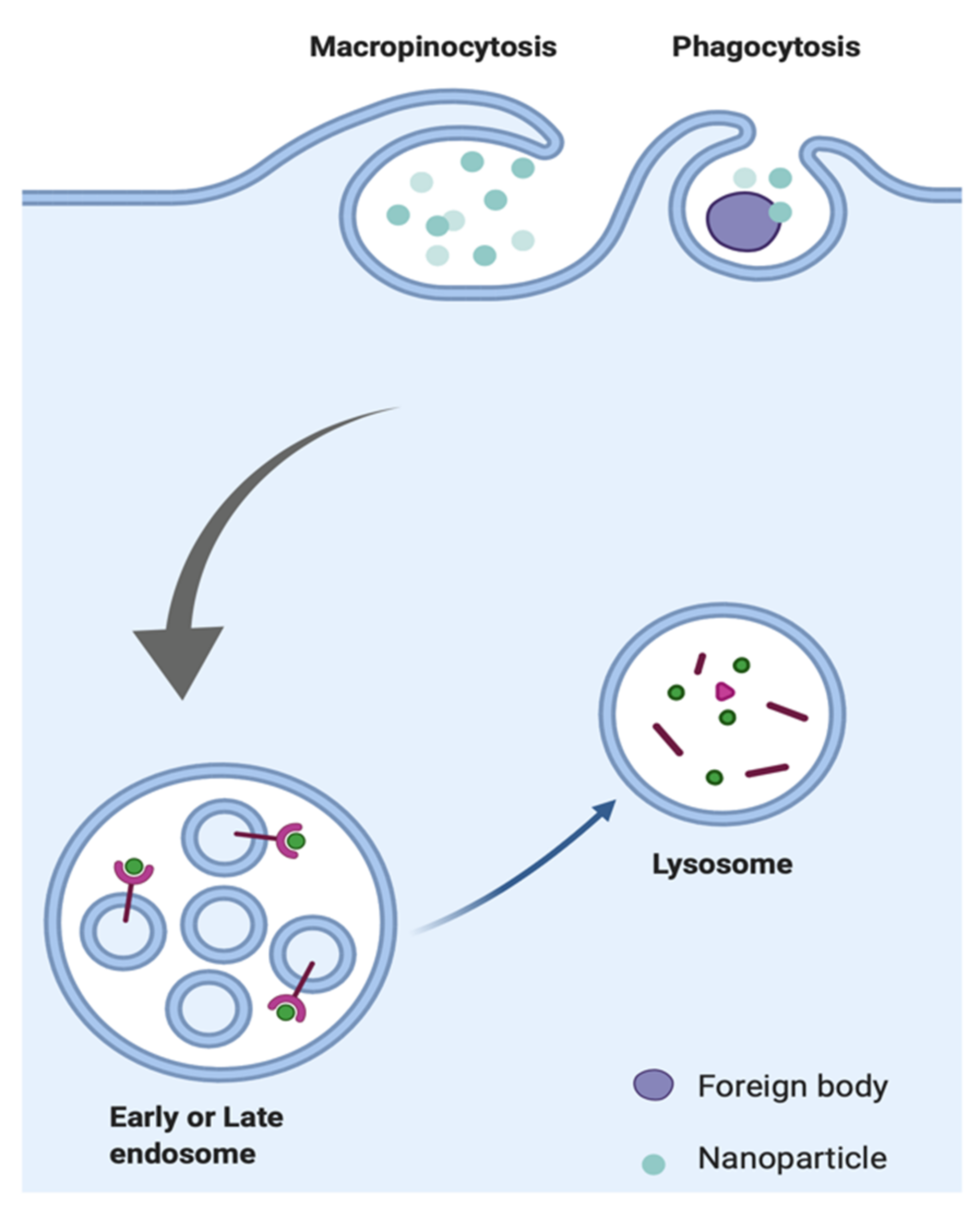 Nanomanufacturing 02 00001 g003