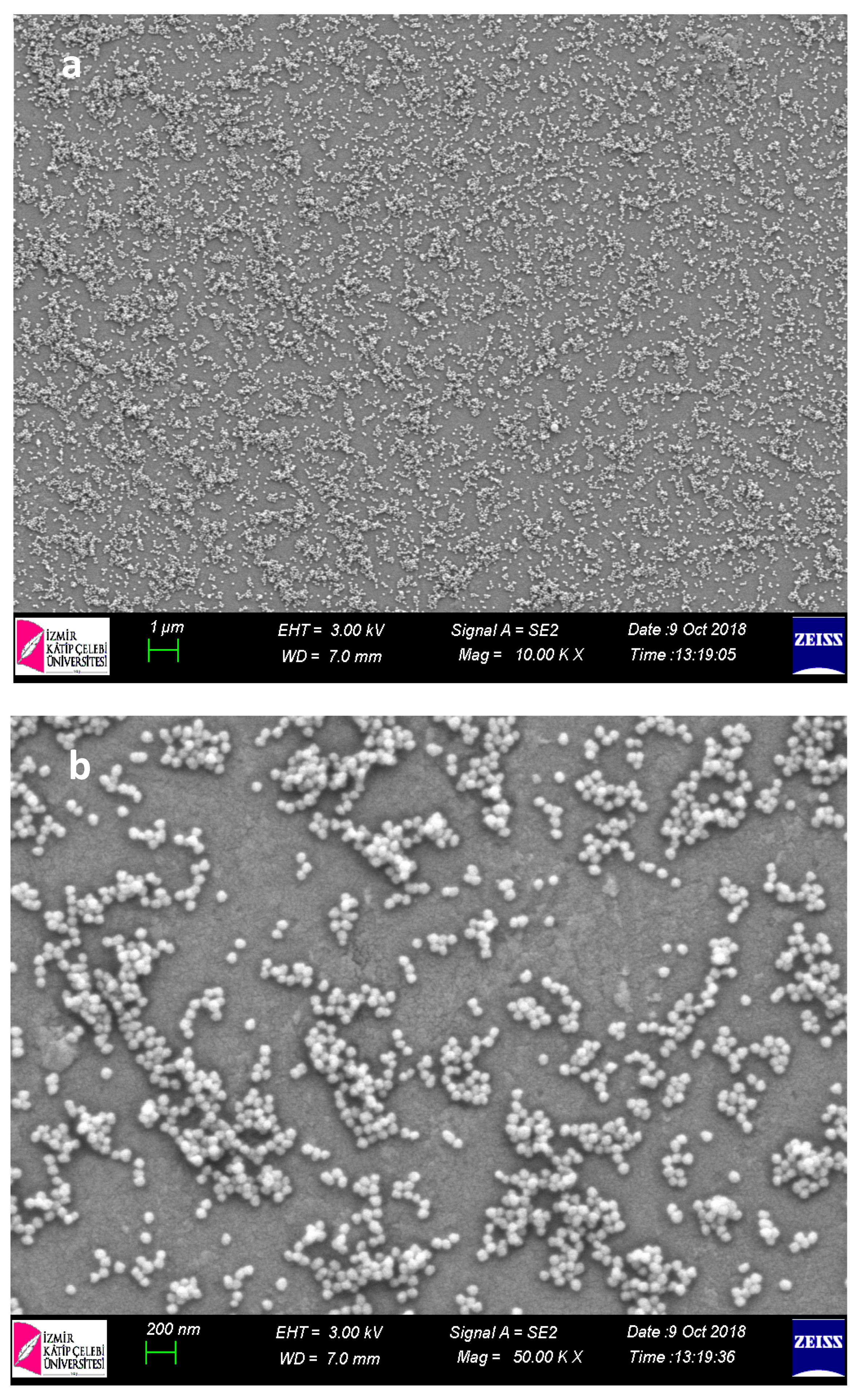 Nanomanufacturing 02 00011 g002a 550