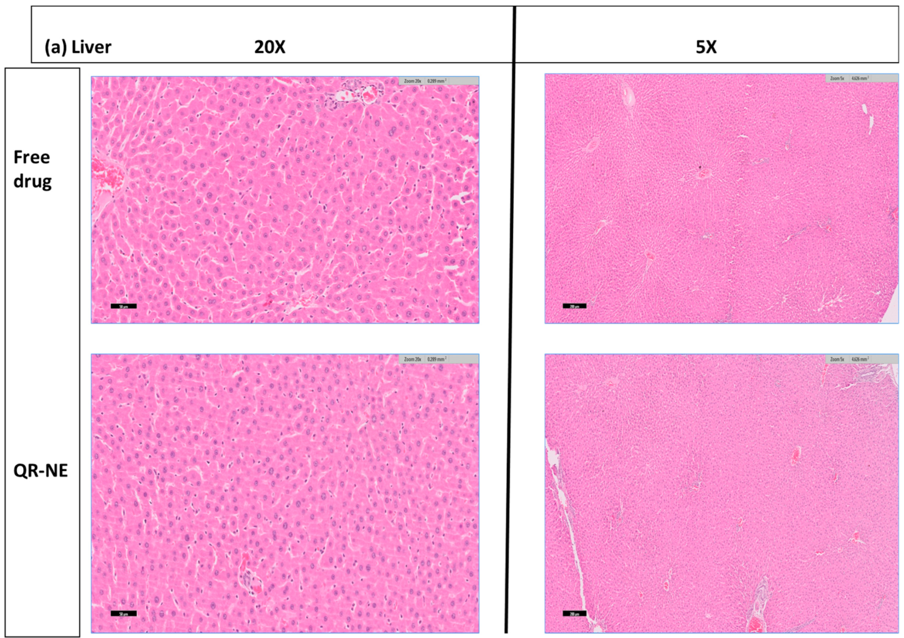 Nanomanufacturing 03 00010 g010a Nanomanufacturing 03 00010 g010a