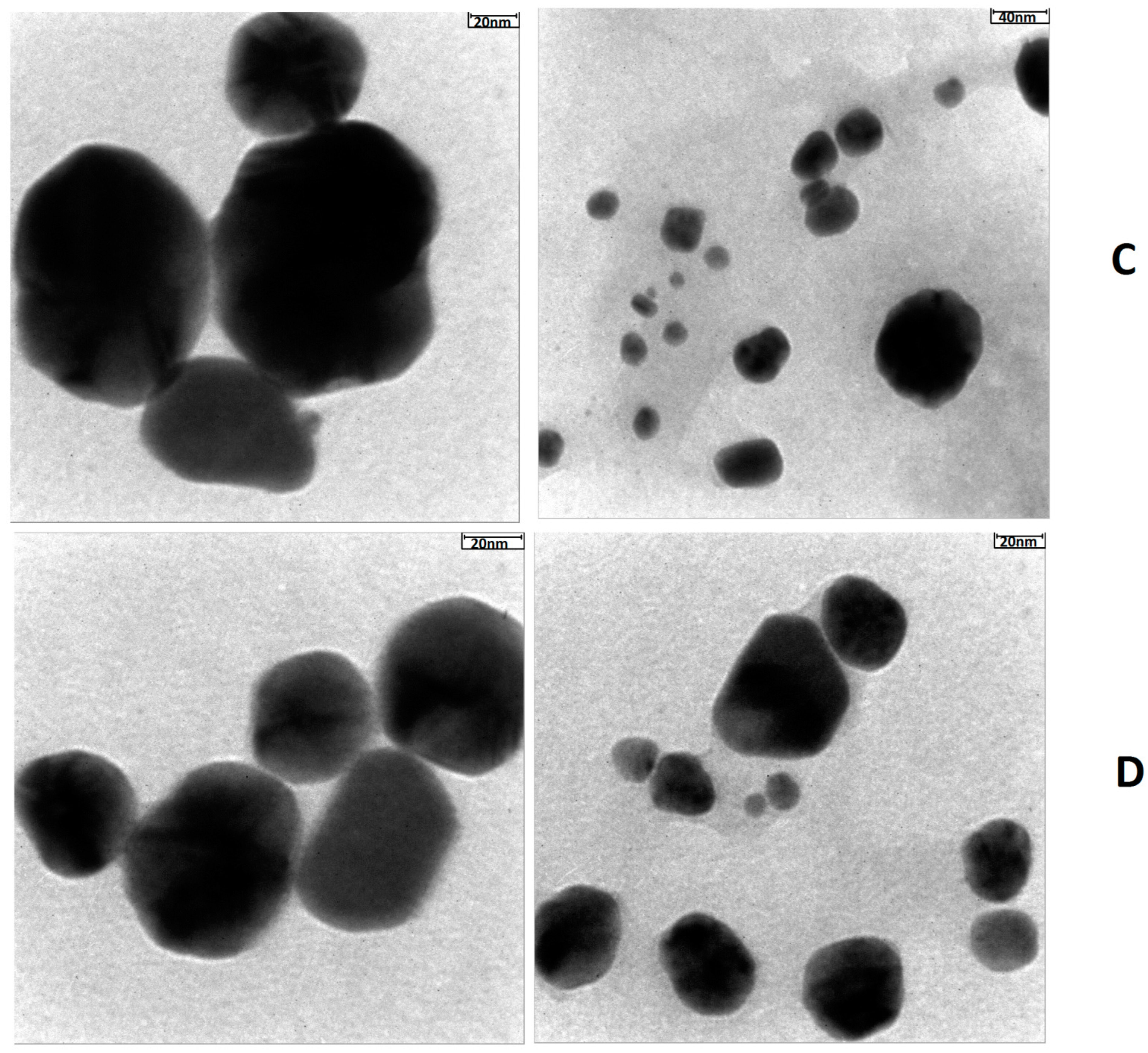 Nanomanufacturing 03 00016 g005b