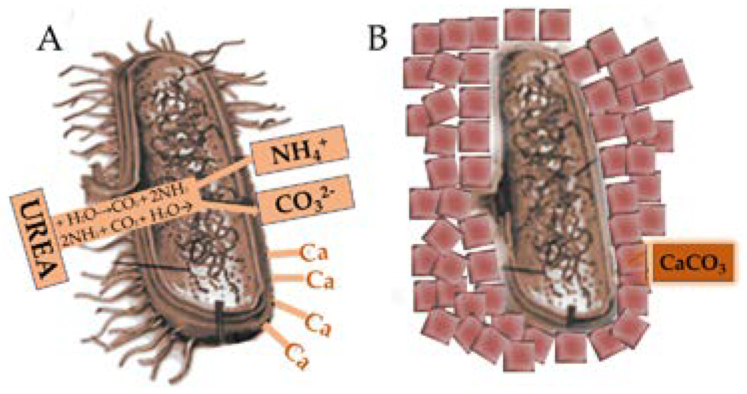 Nanomanufacturing 03 00021 g004