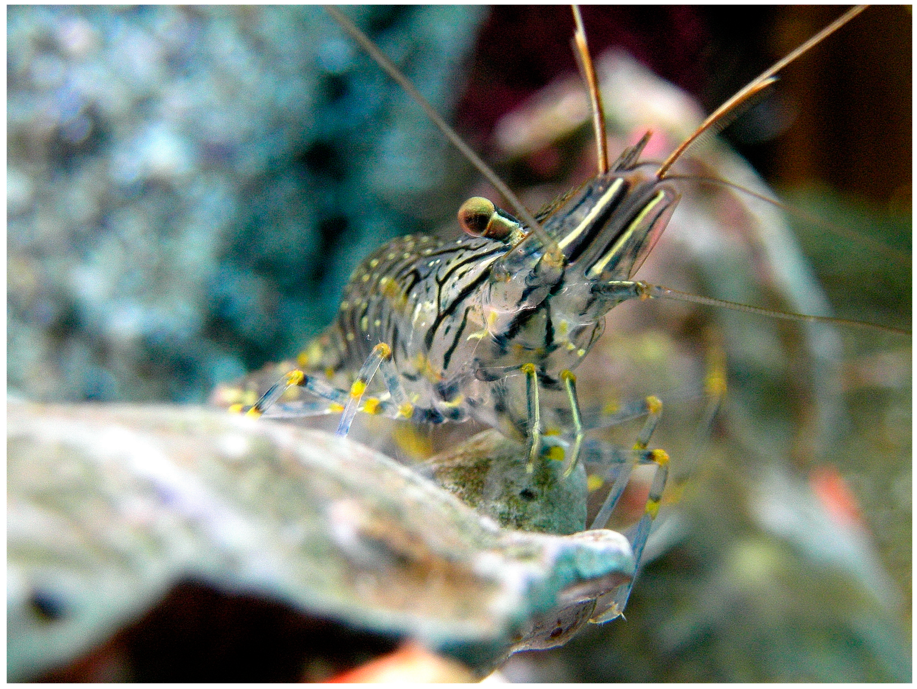 Nanomanufacturing 03 00024 g002